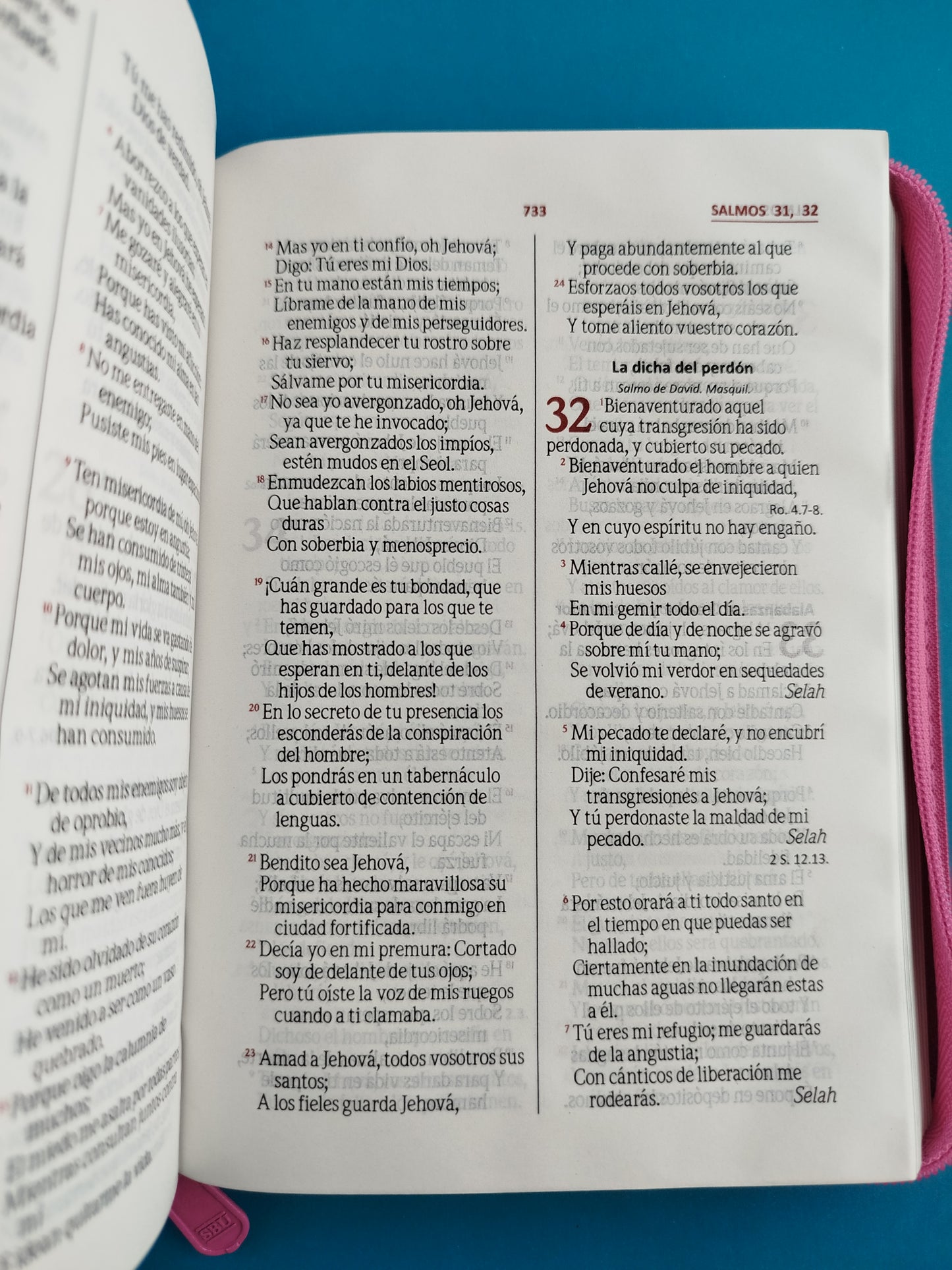 Biblia rvr troquelada fucsia rosa