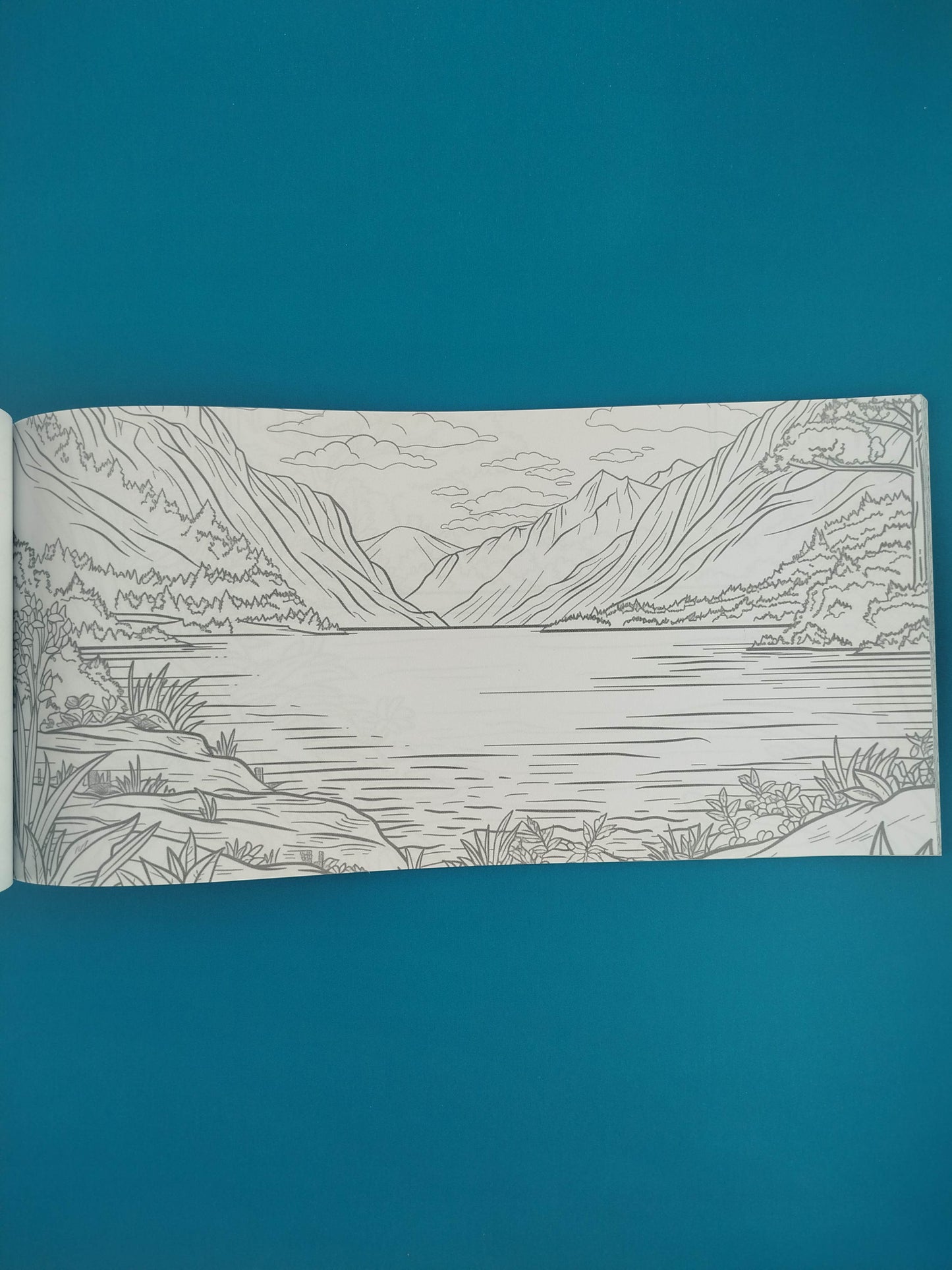 Pinta un bosque y piérdete