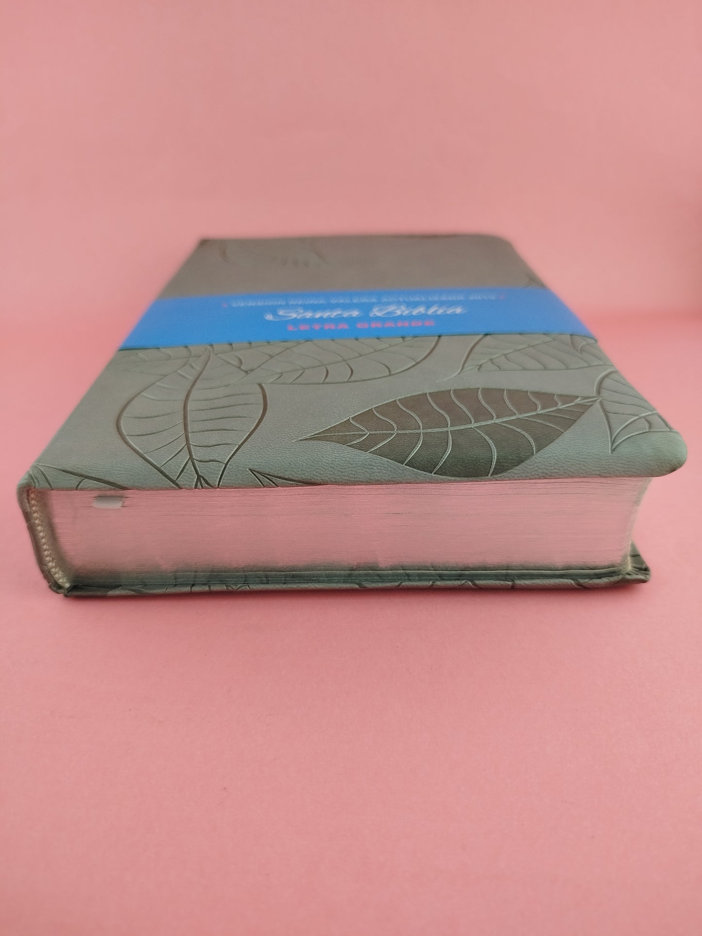 Biblia 2015 letra grande gris by Reina Valera actualizada 2015