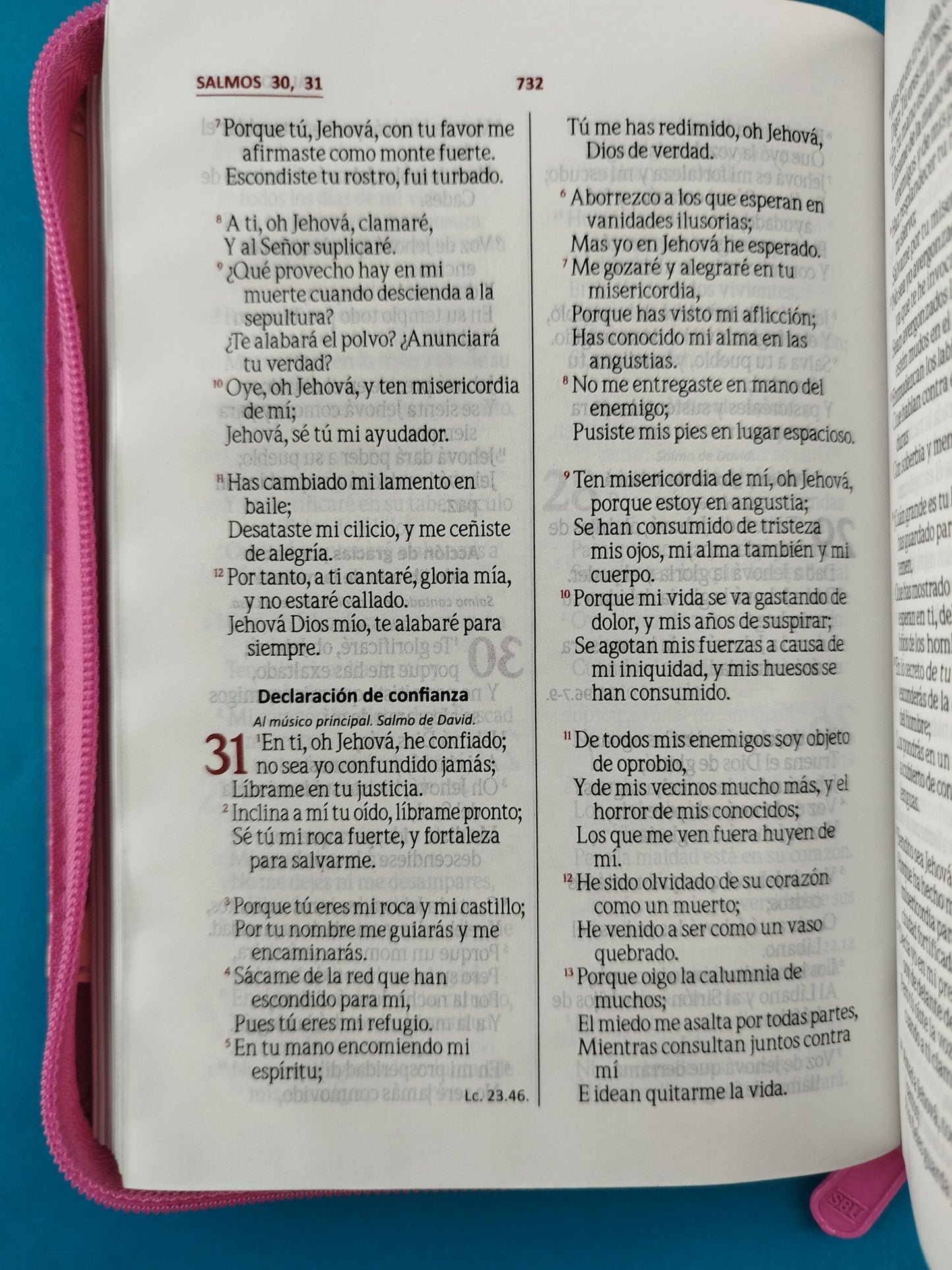 Biblia rvr troquelada fucsia rosa