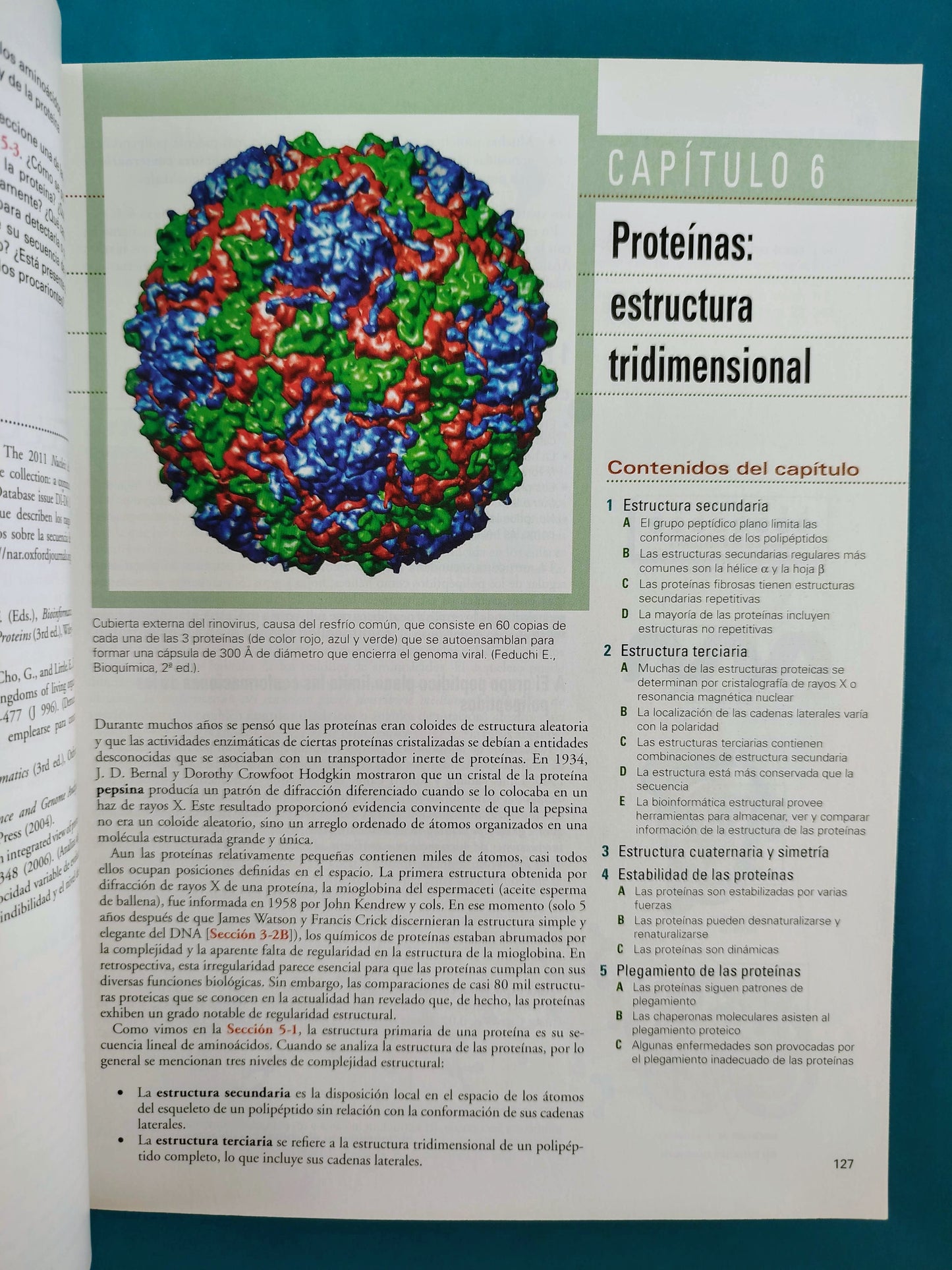 Fundamentos de Bioquímica la vida a nivel molecular cuarta edición