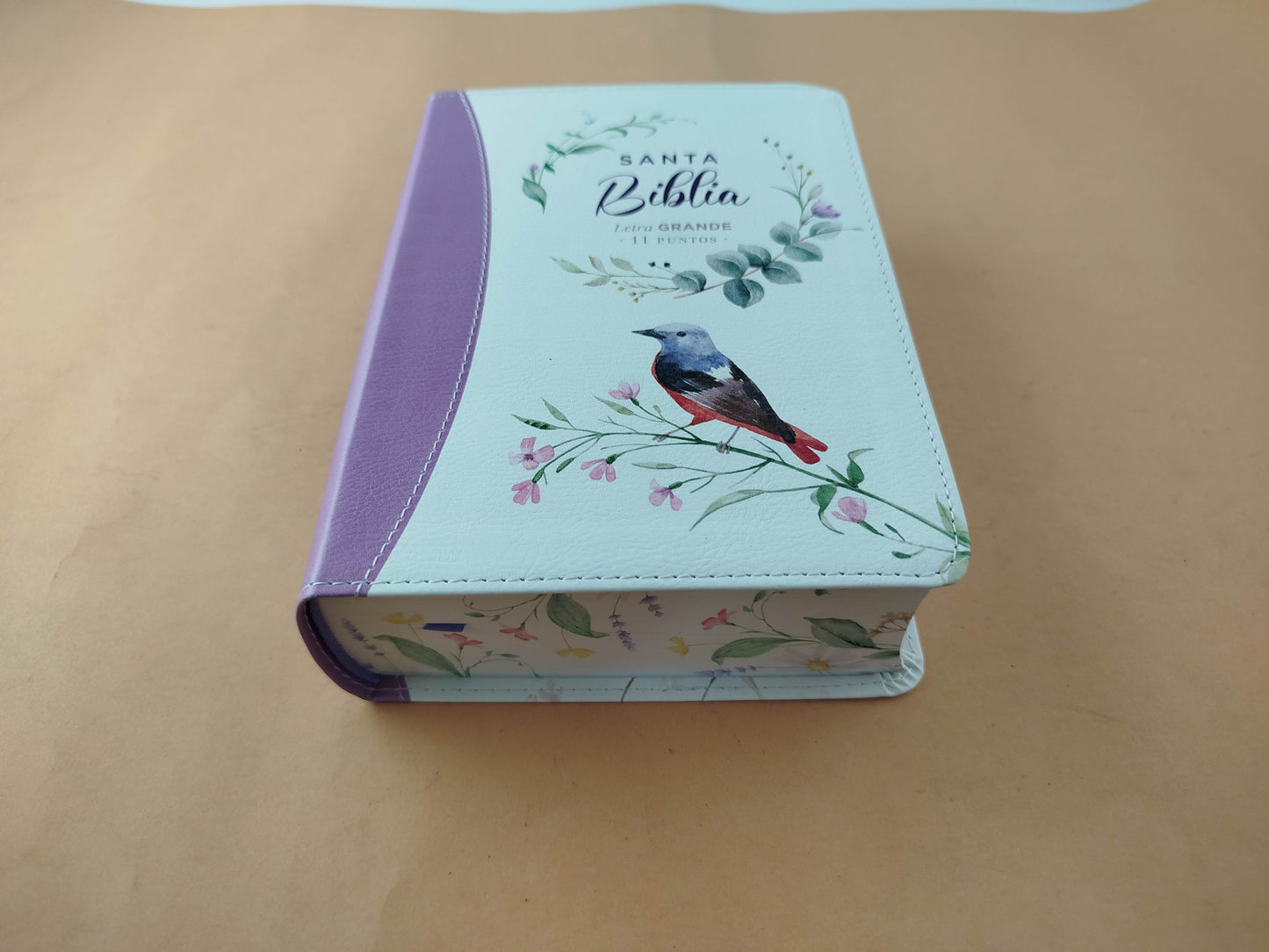 Biblia rvr 1960 colección primaveral letra grande lila sin cierre