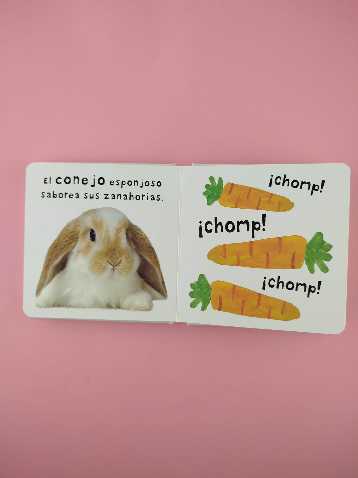 Mira, toca, siente Animales