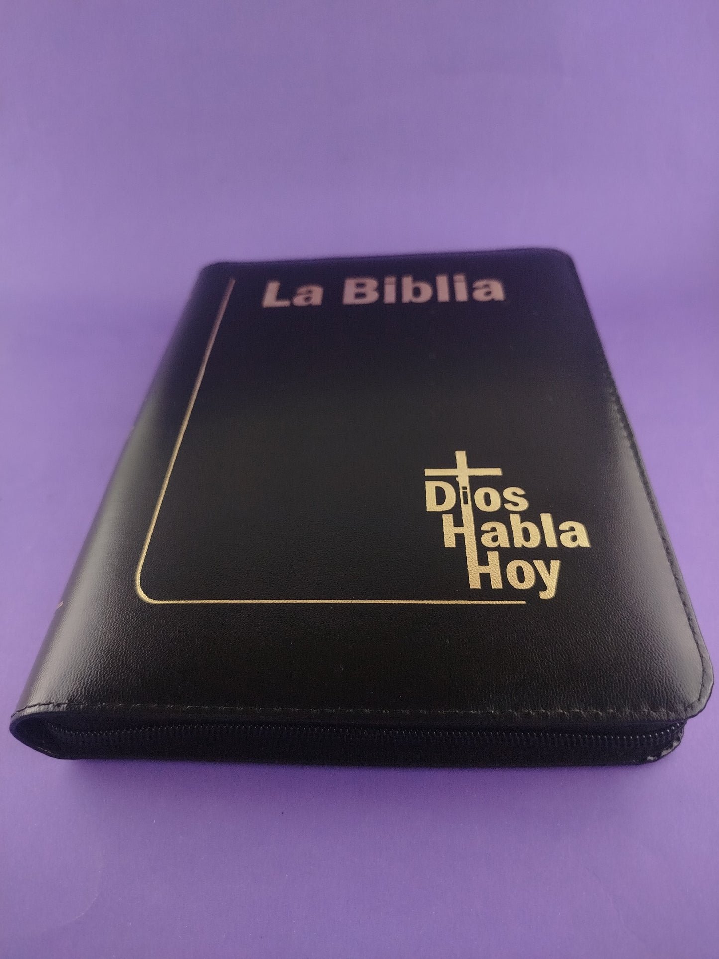 Biblia Dios Habla Hoy Letra Gigante Negro