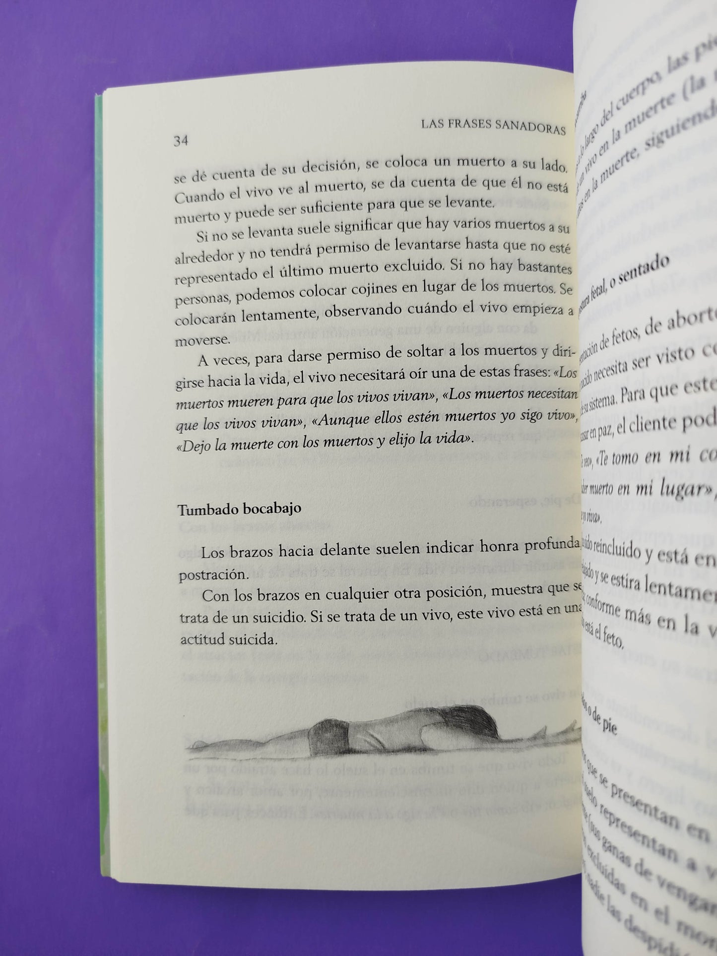 Las frases sanadoras El lenguaje corporal y espacial en las constelaciones familiares