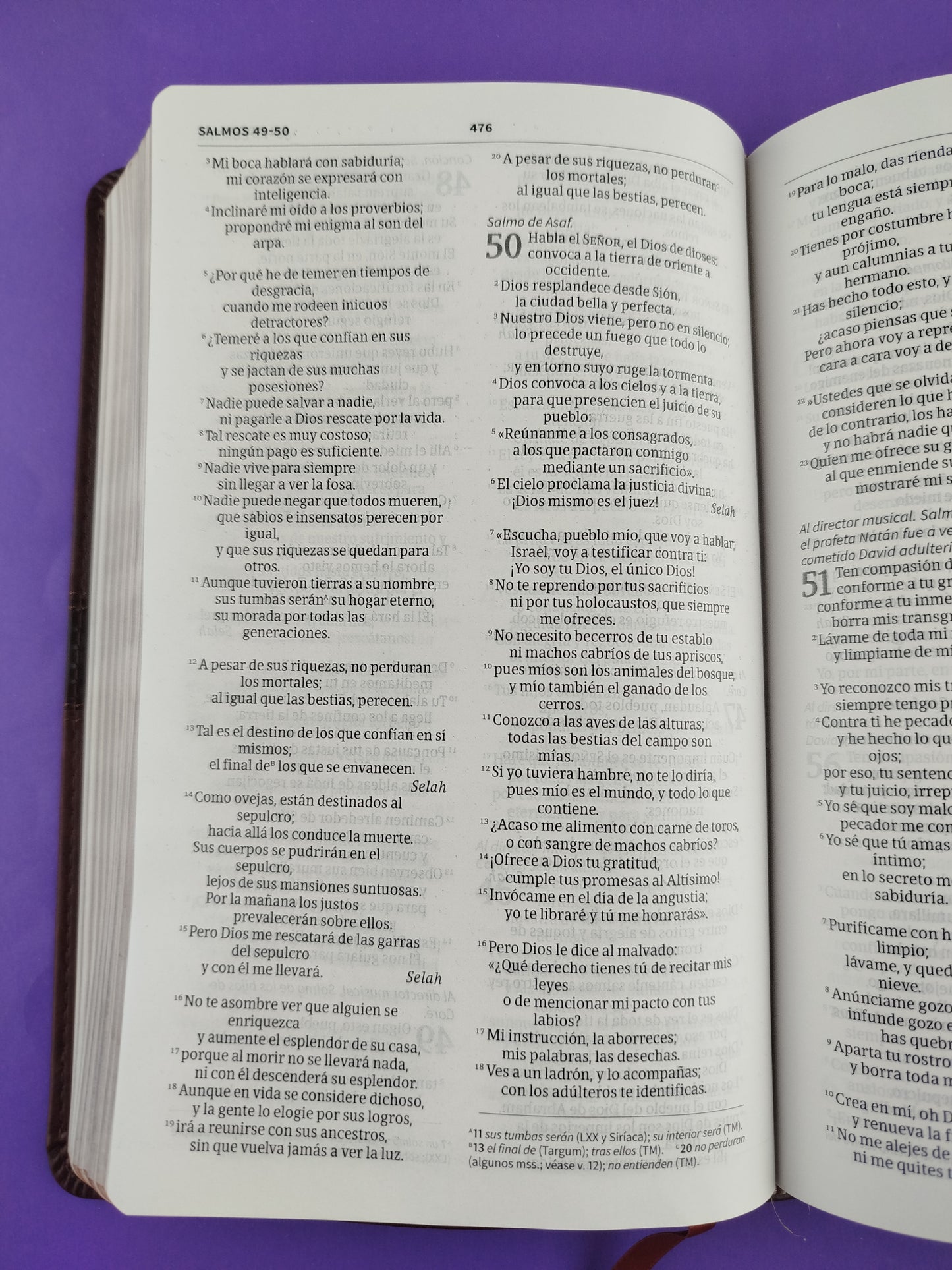 Biblia NVI ultrafina marrón similpiel y solapa con imán