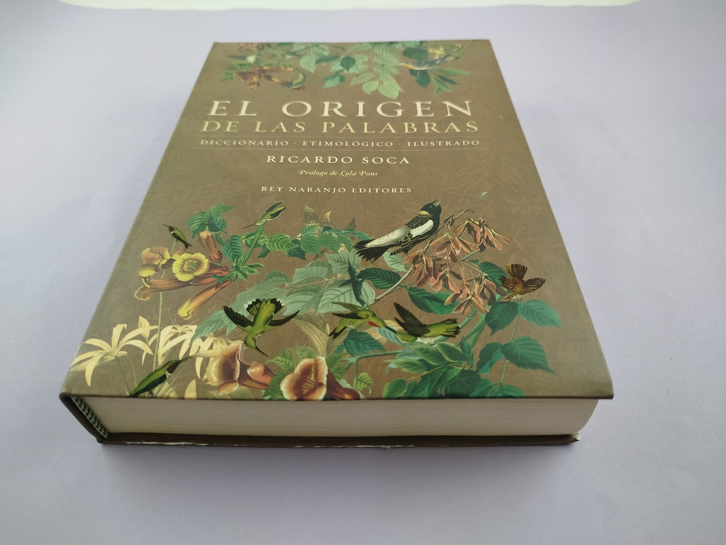 El origen de las palabras: diccionario etimológico ilustrado