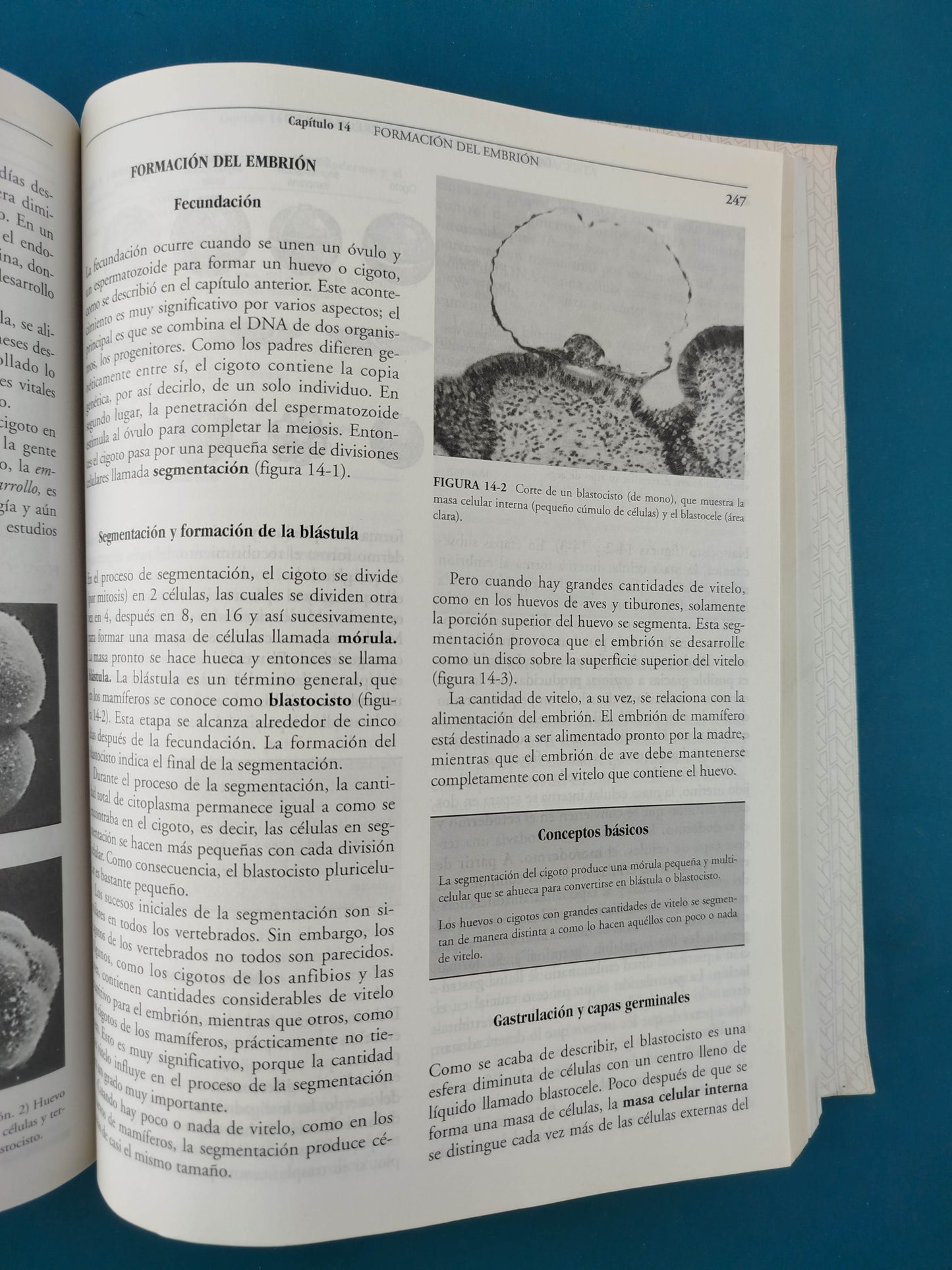 Principios de biología enfoque humano segunda edición