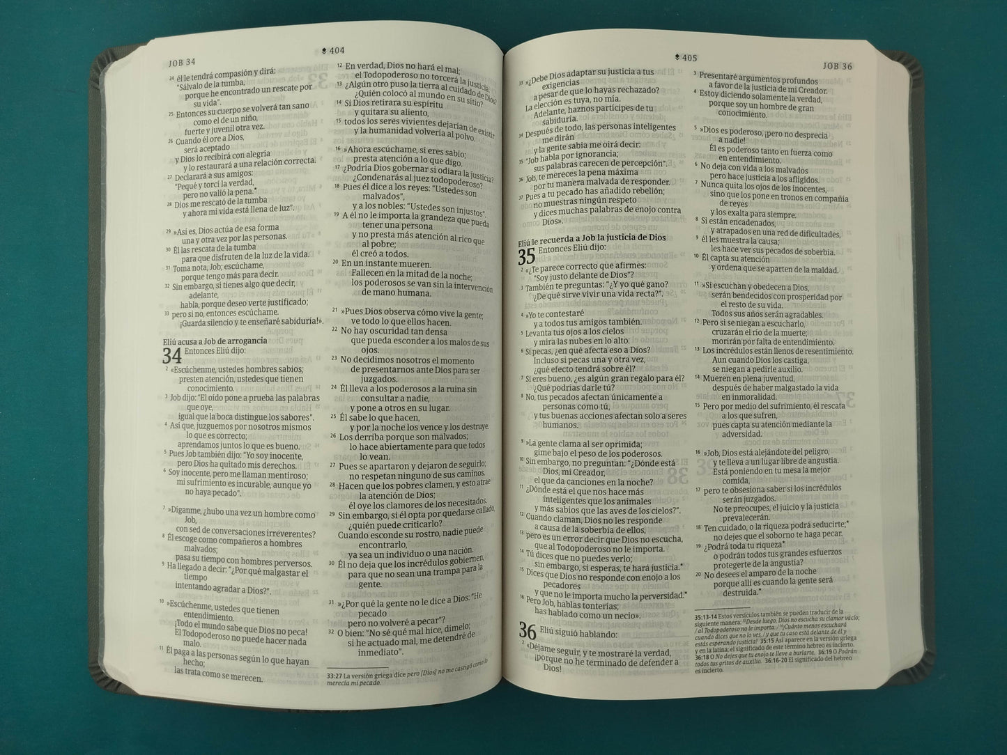 Biblia NTV Filament Gris