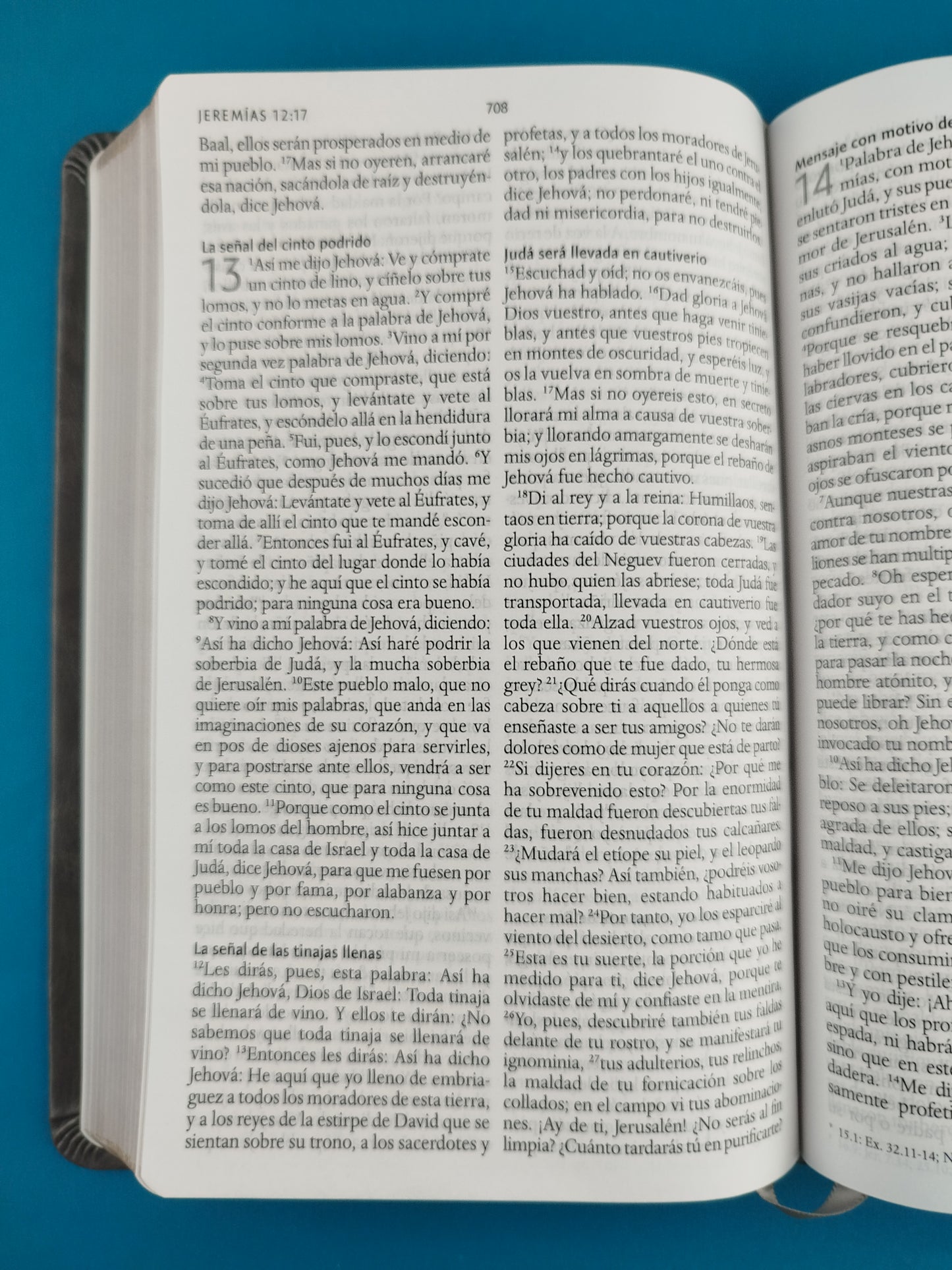Biblia rvr 1960 letra grande tipo agenda gris sin cierre borde dorado e imágenes de la tierra santa tamaño manual