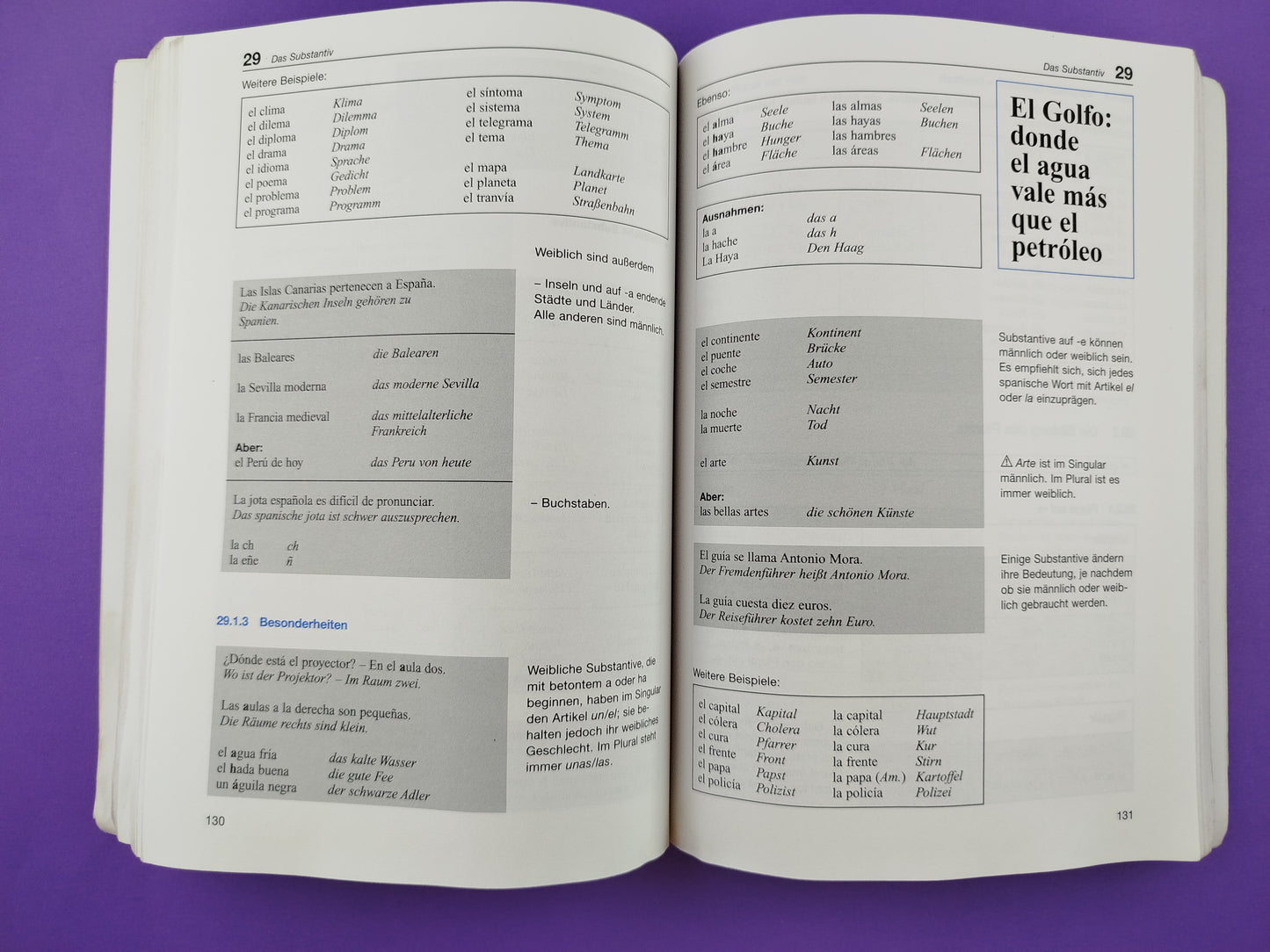Langenscheidt Standardgrammatik: Spanisch