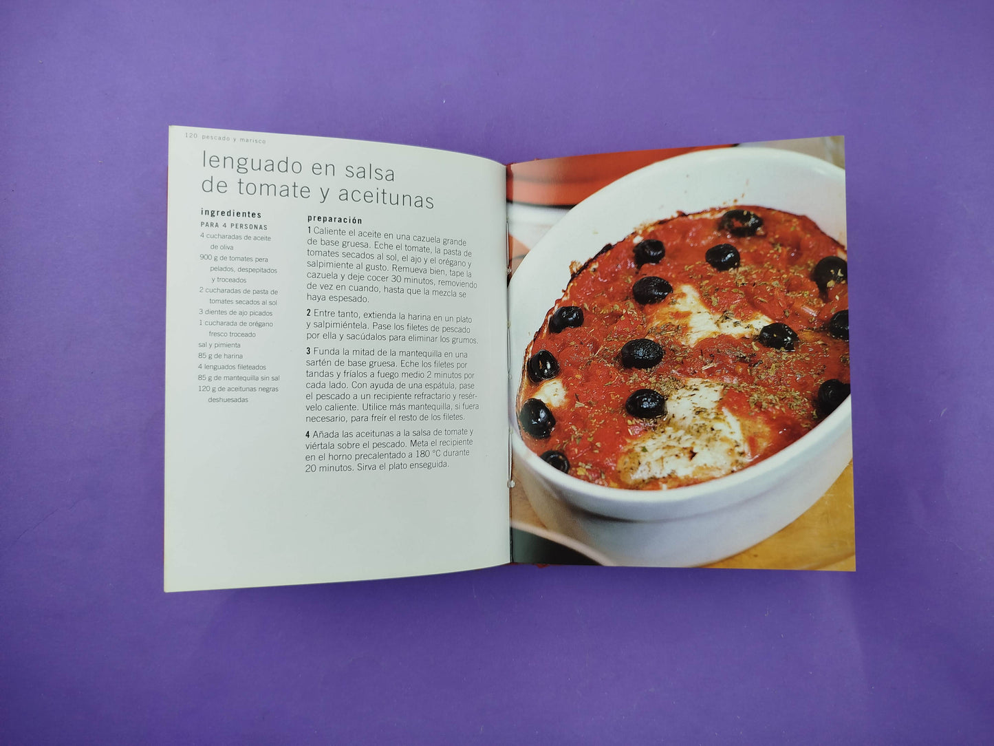 Cocina italiana más de 100 irresistibles recetas