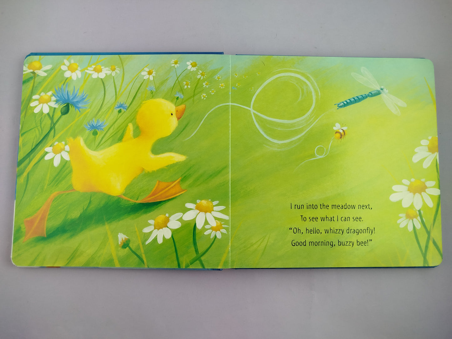 A Cuddle For Little Duck