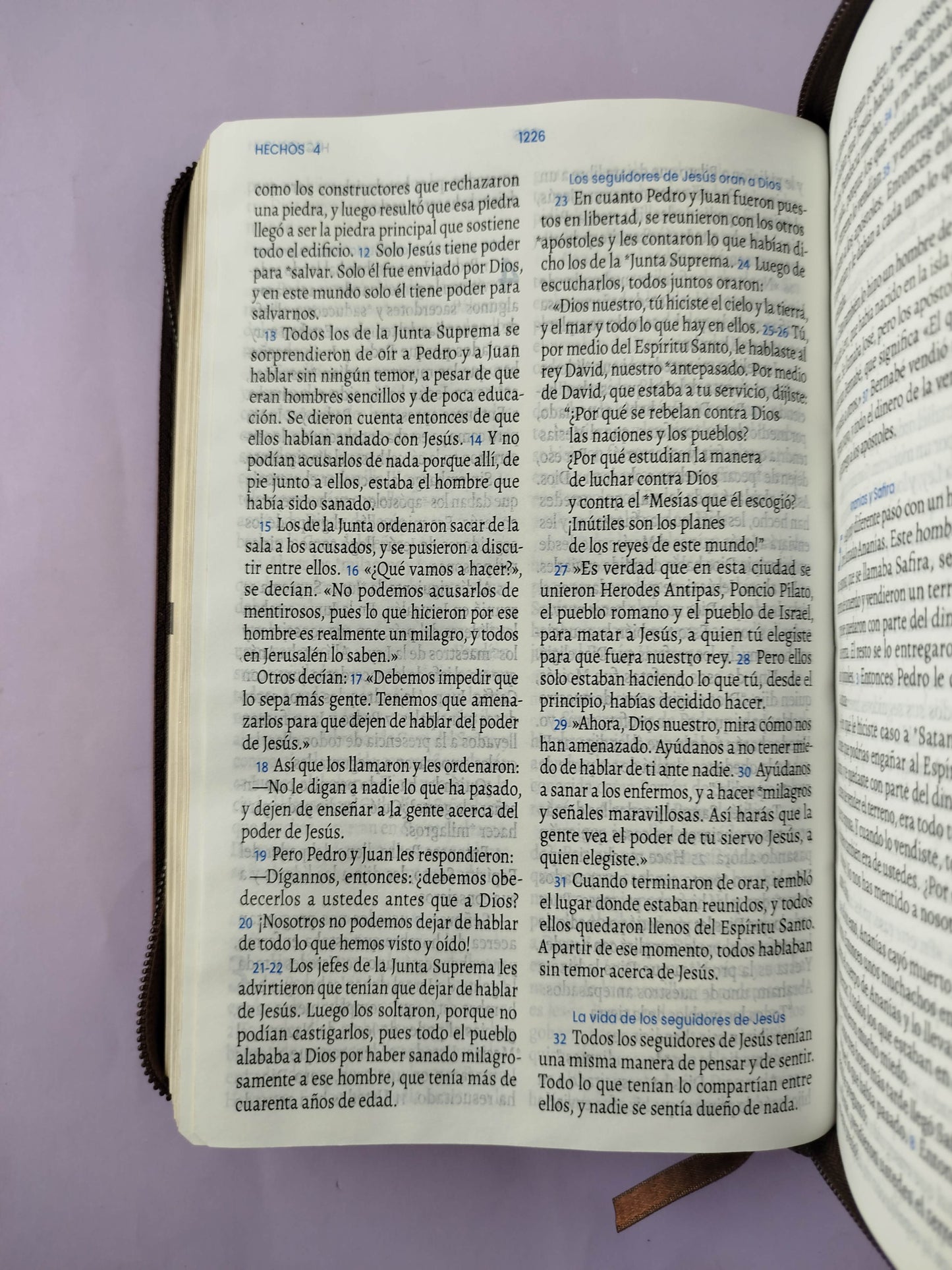 Biblia traducción en lenguaje actual 066 miel café / canto dorado by Lenguaje actual