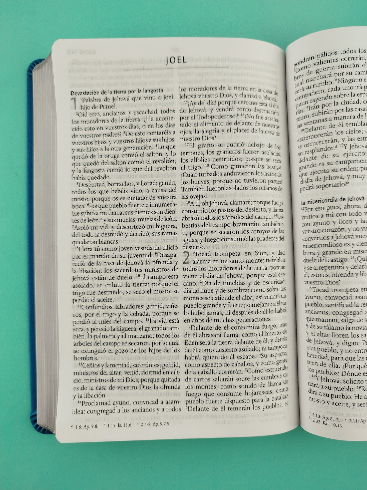 Biblia rvr 1960 letra grande tipo agenda azul sin cierre borde plateado e imágenes de la tierra santa tamaño manual