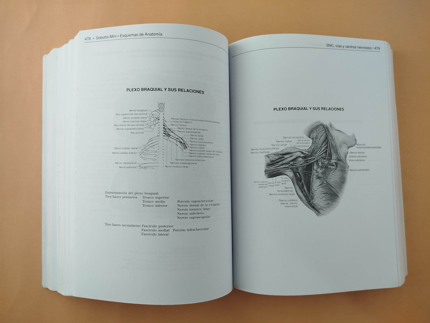 Sobotta mini Esquemas de anatomía, histología y embriología