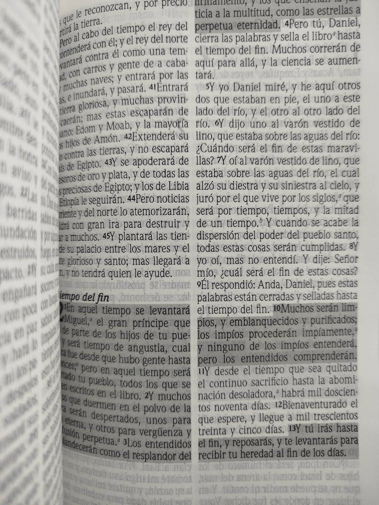 Biblia promesas RVR canto plateado sin cierre by Tyndale