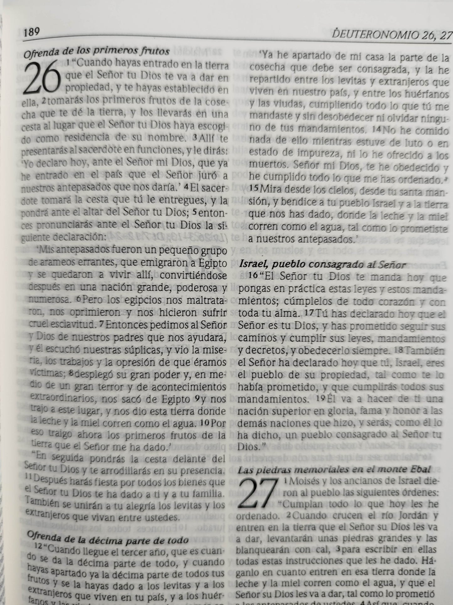 Biblia Dios habla hoy edición interconfesional de referencia by Varios