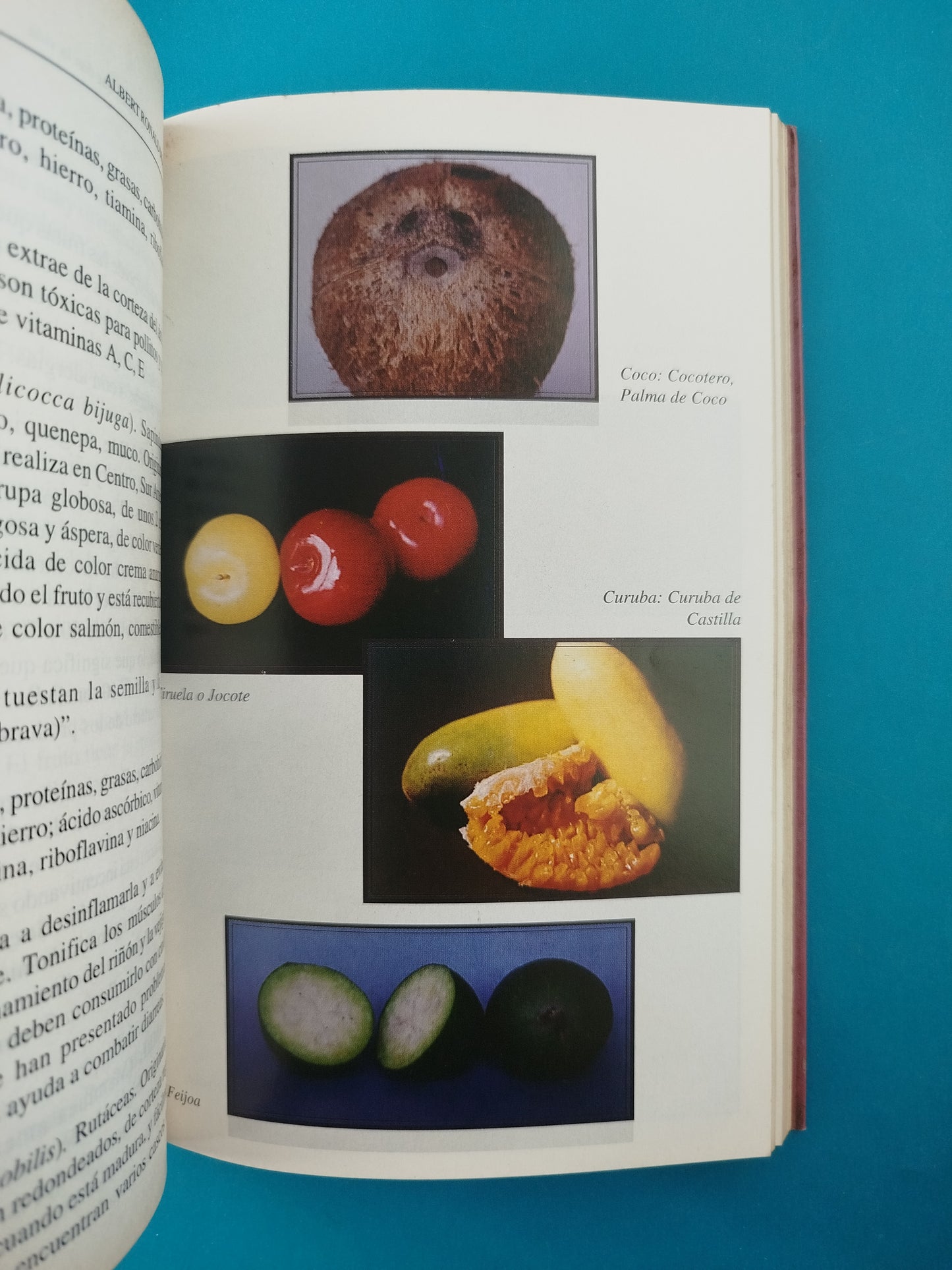 Frutoterapia Los frutos que dan la vida