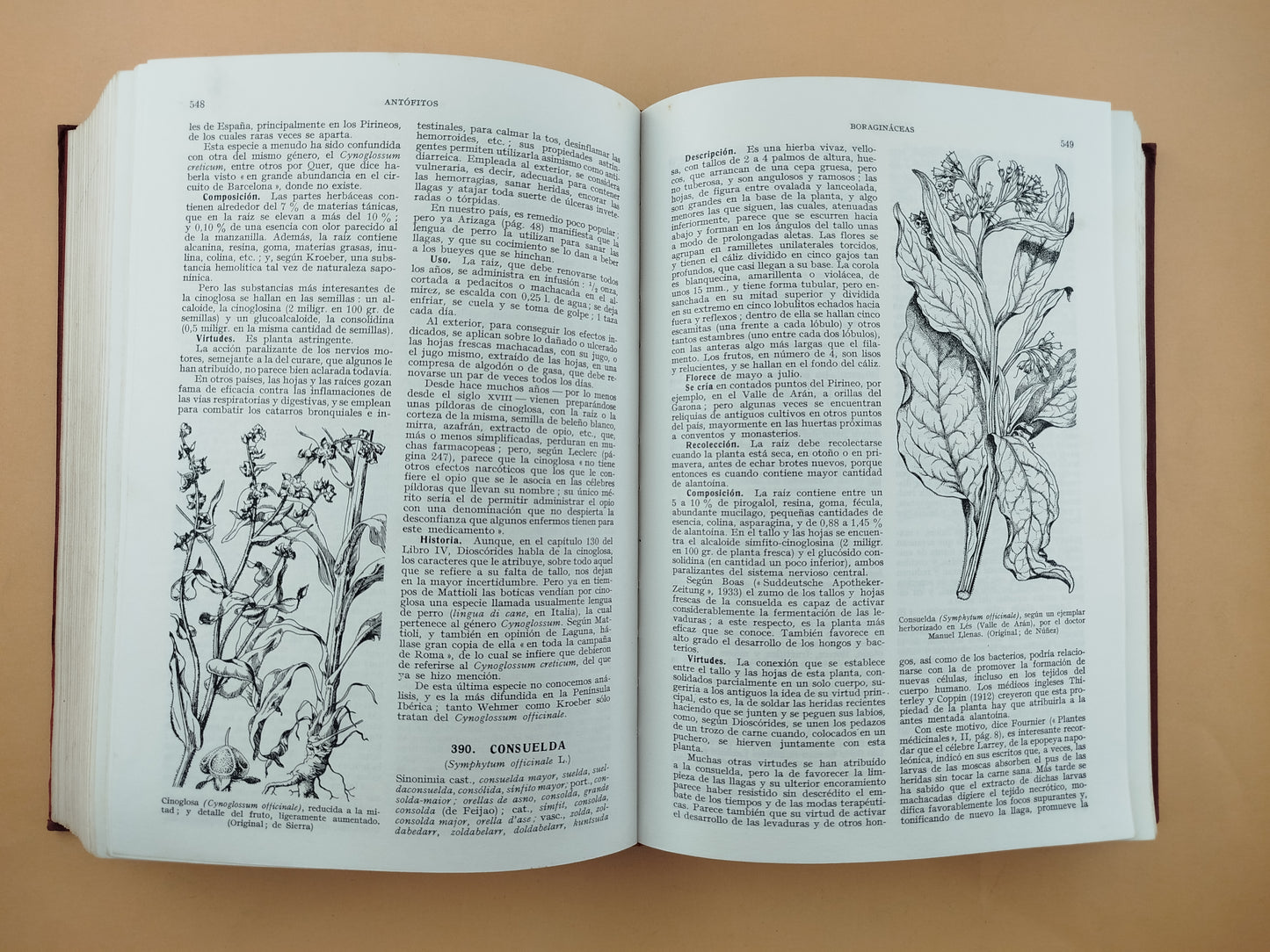 Plantas medicinales : El dioscórides renovado