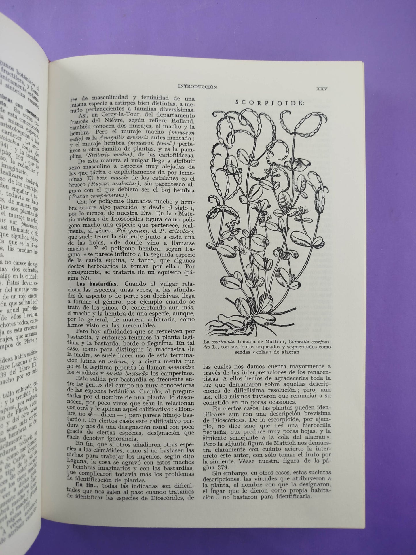 Plantas medicinales El Dioscórides 3 tomos