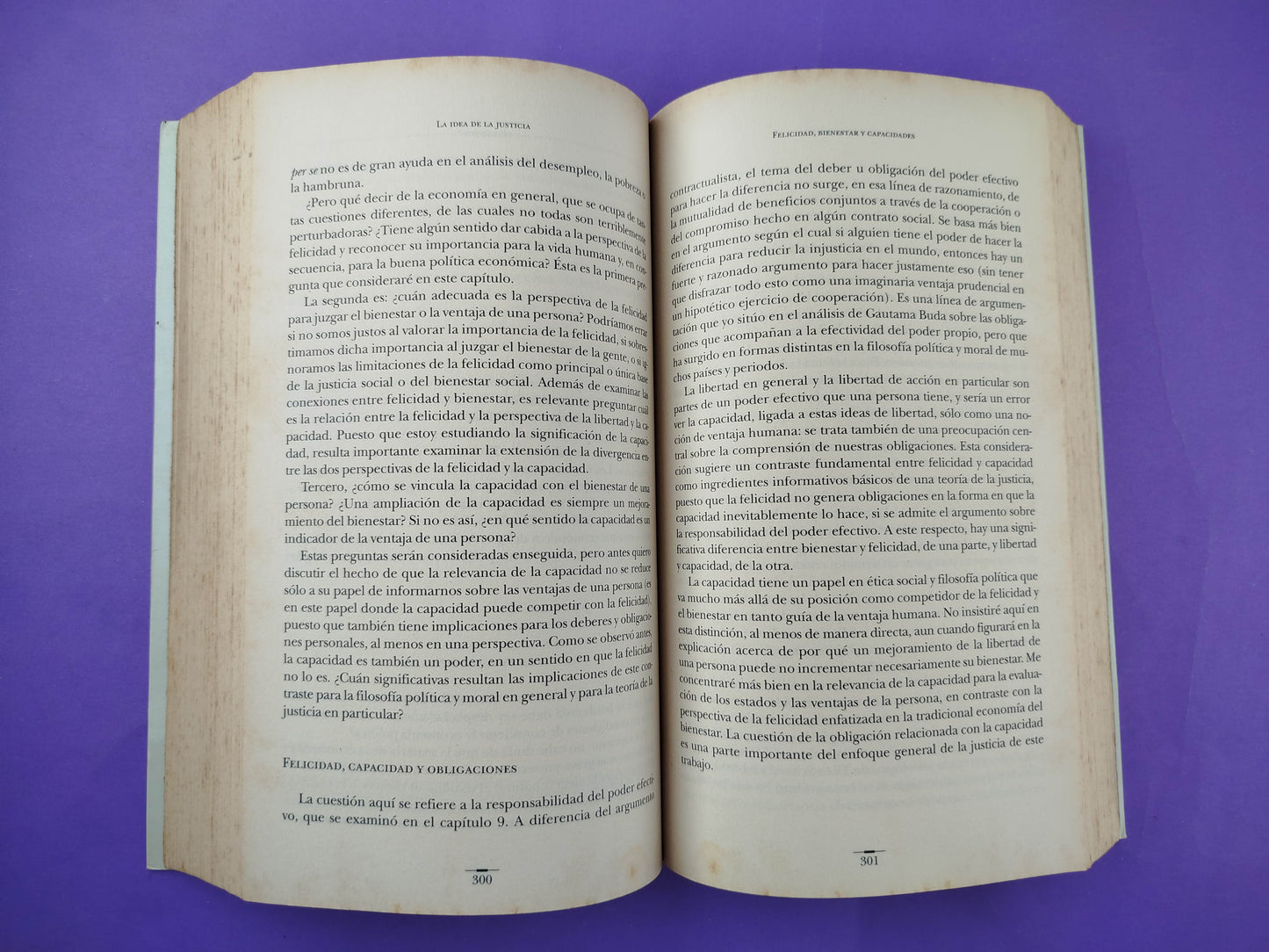 La idea de la justicia