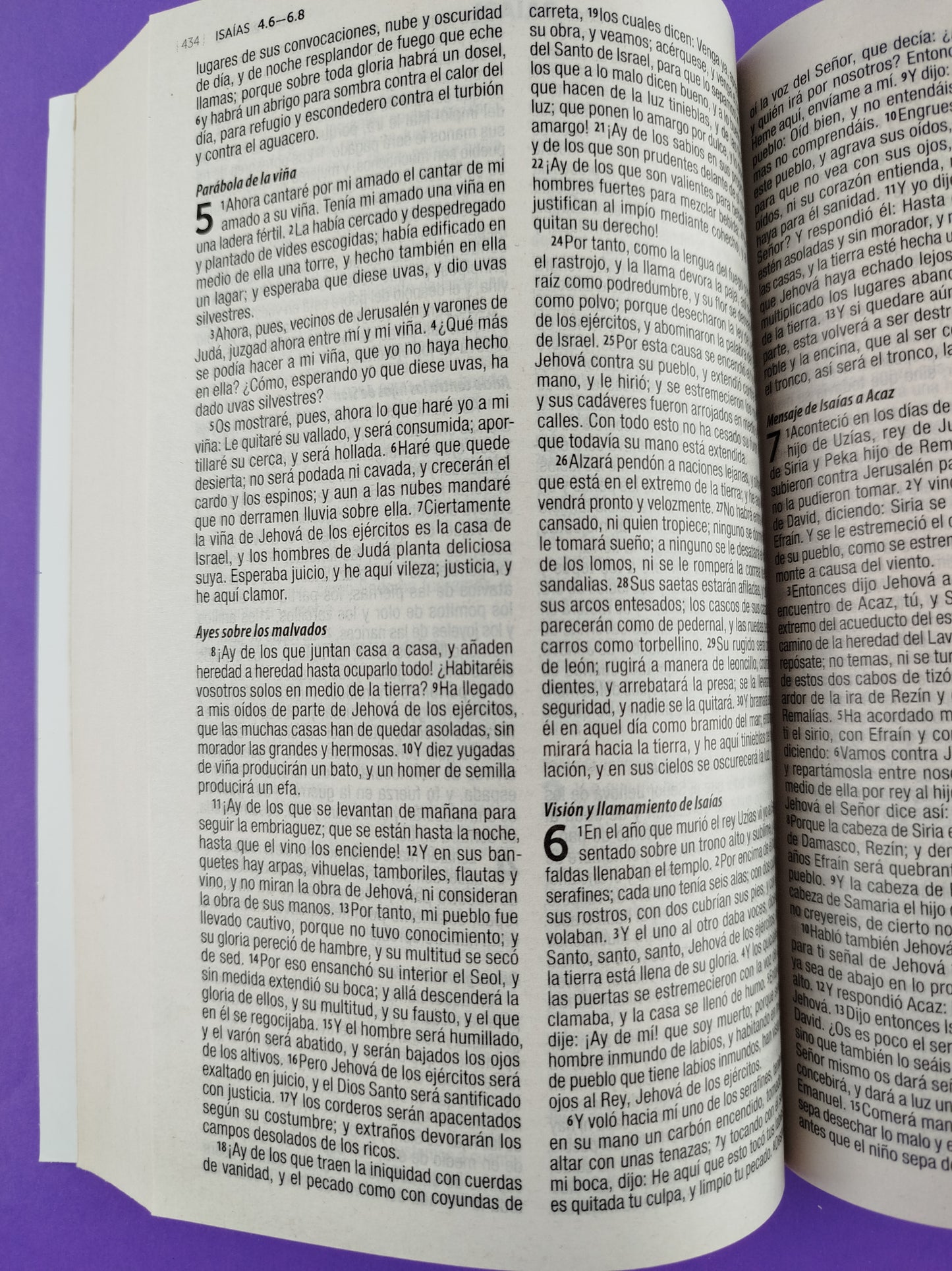 Biblia rvr 1960 misionera morado flores