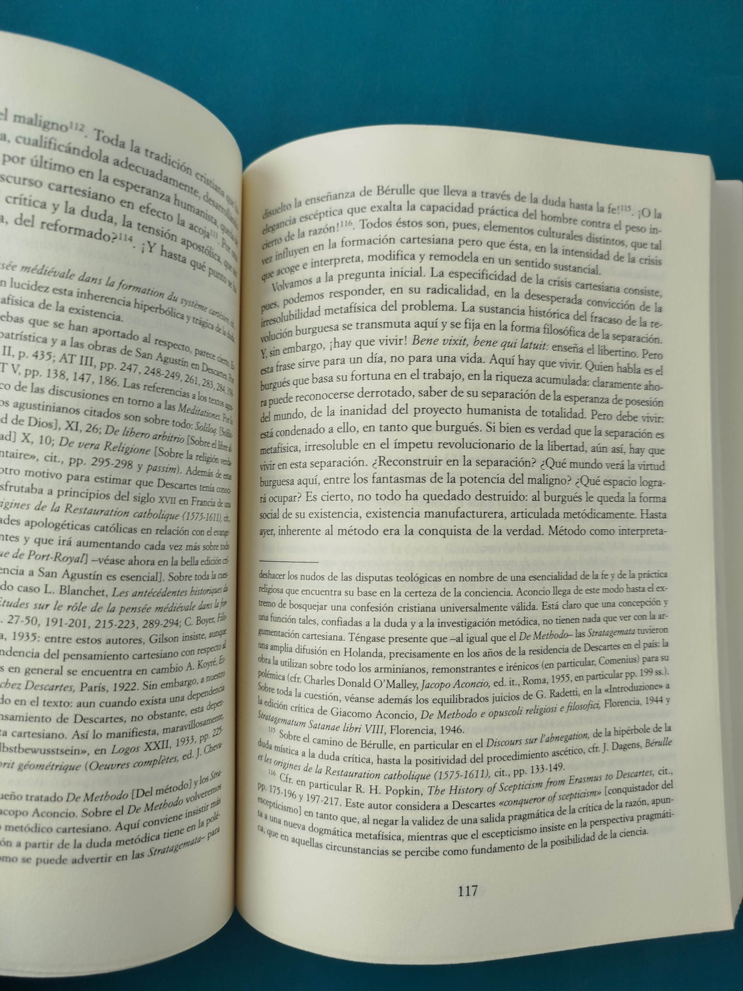 Descartes político