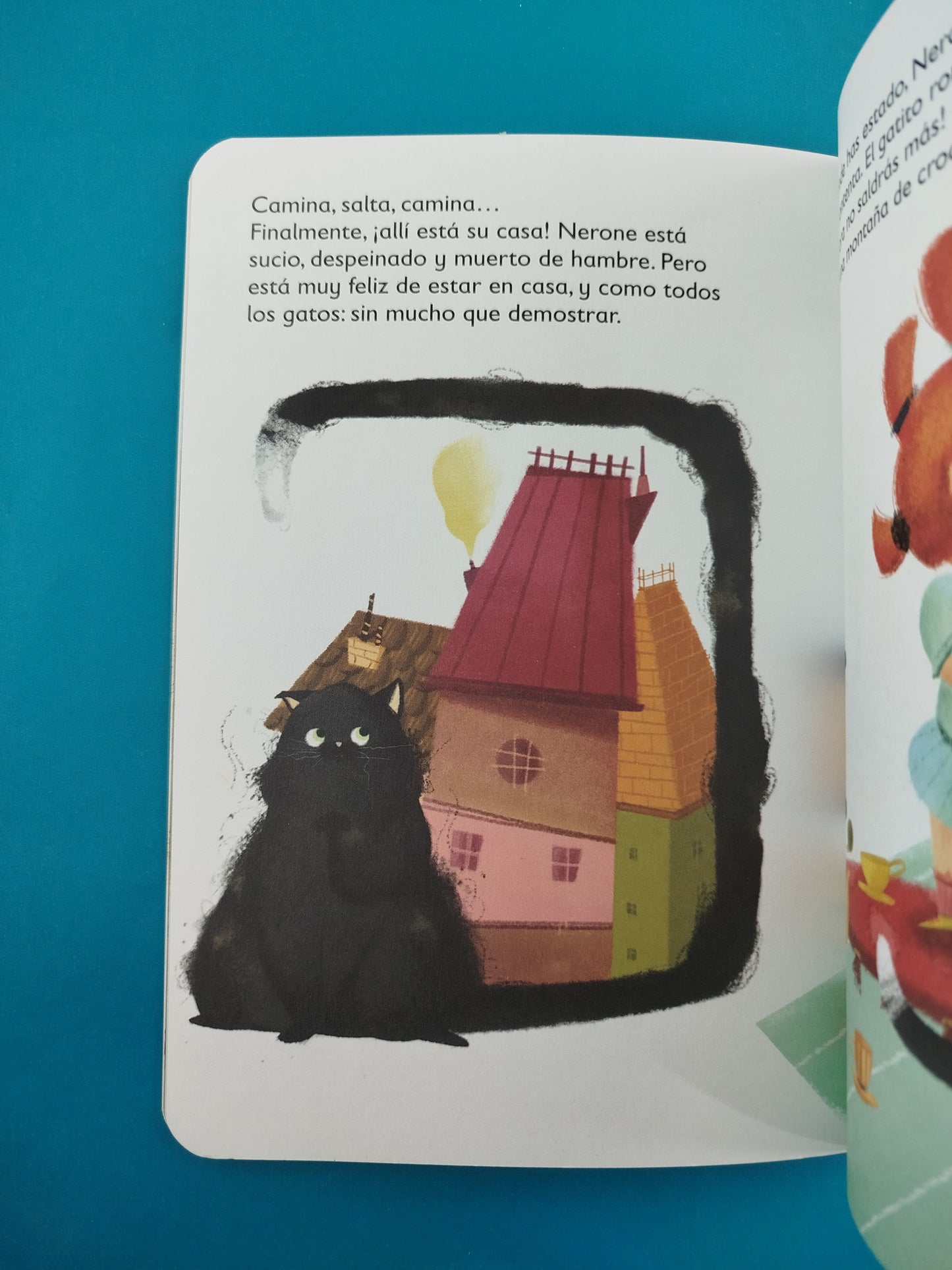 ¿Dónde es la casa del gato Nerone?