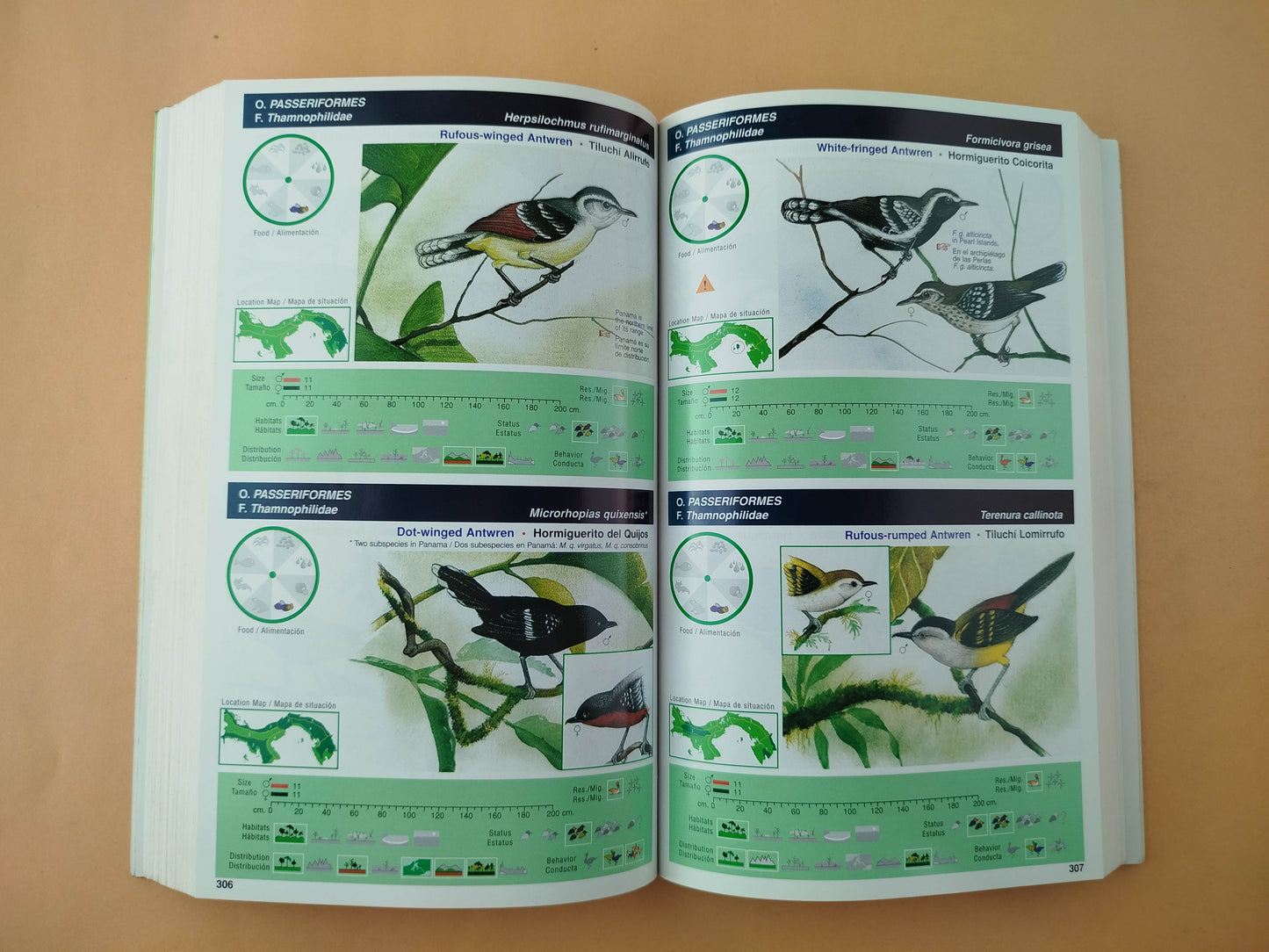 An illustrated field guide to the birds of Panama Guía de campo ilustrada de las aves de Panamá