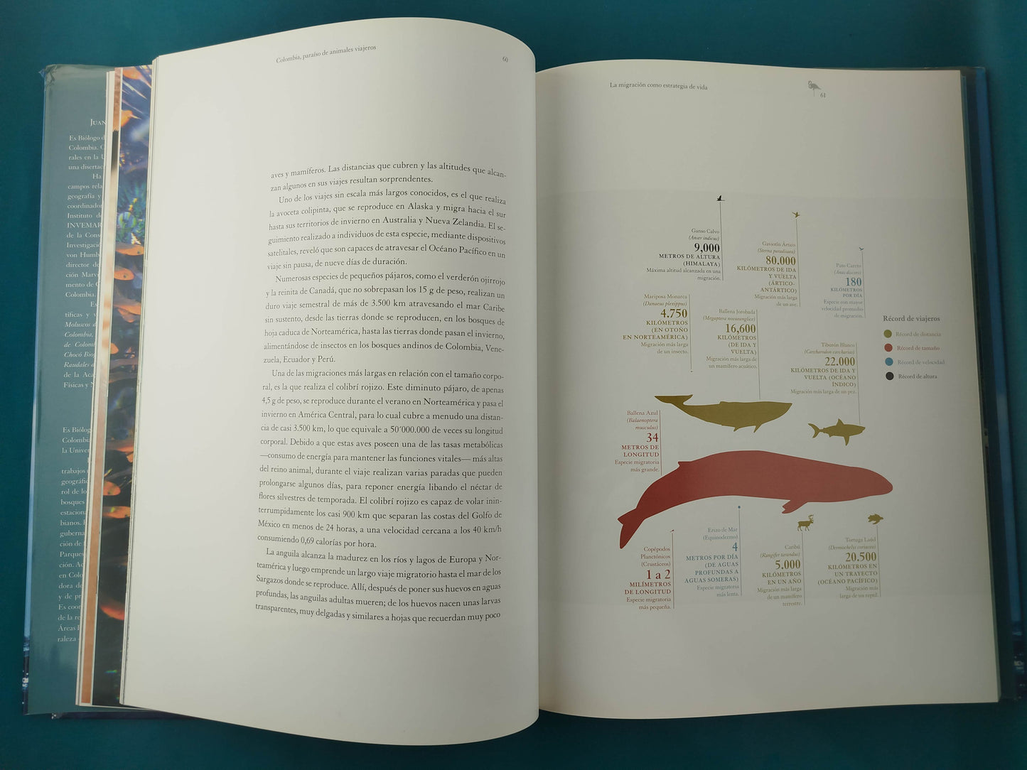 Paraíso De Animales Viajeros