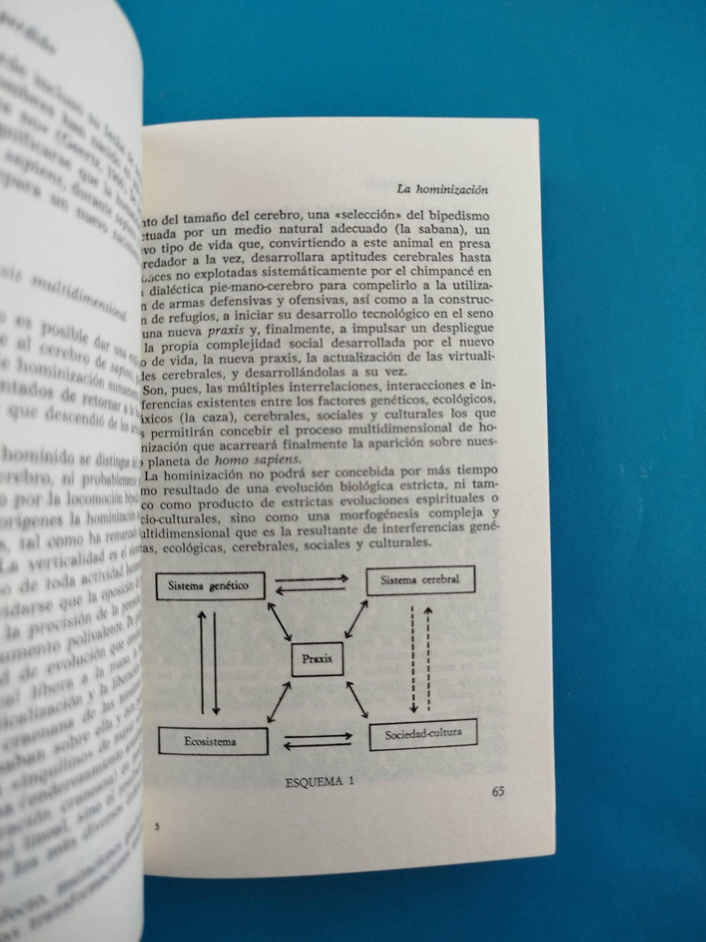 El Paradigma Perdido
