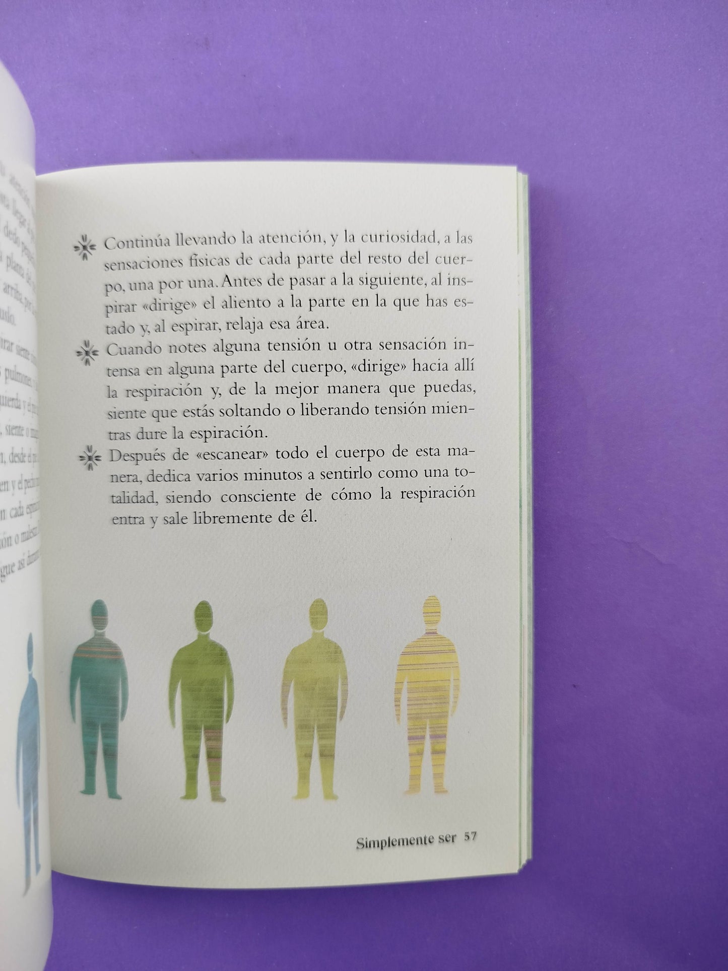 El pequeño libro del Mindfulness