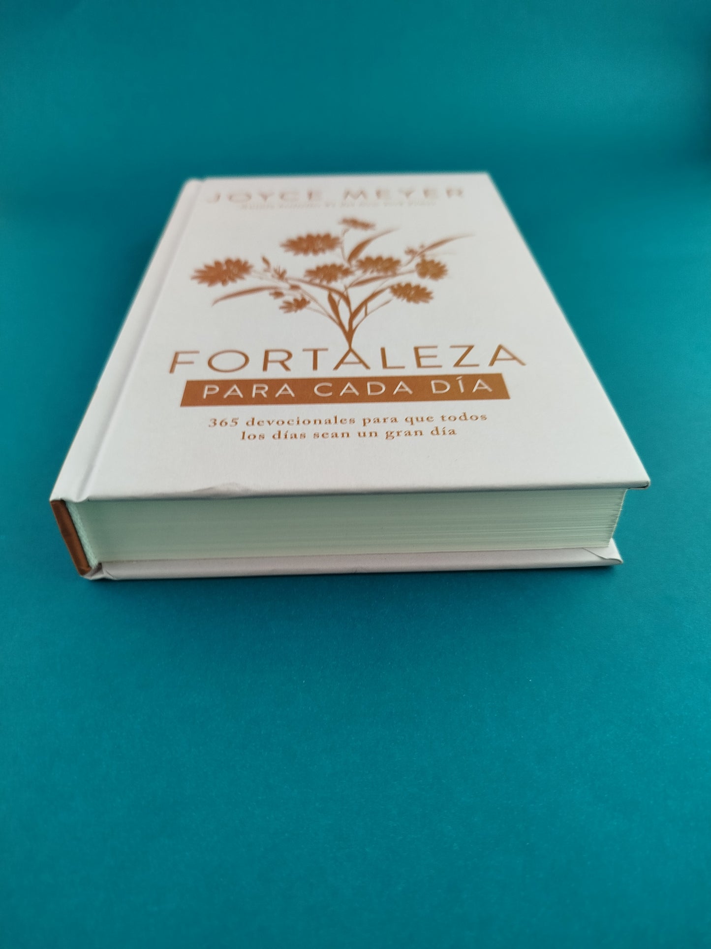 Fortaleza para cada día 365 devocionales para que todos los días sean un gran día by Joyce Meyer