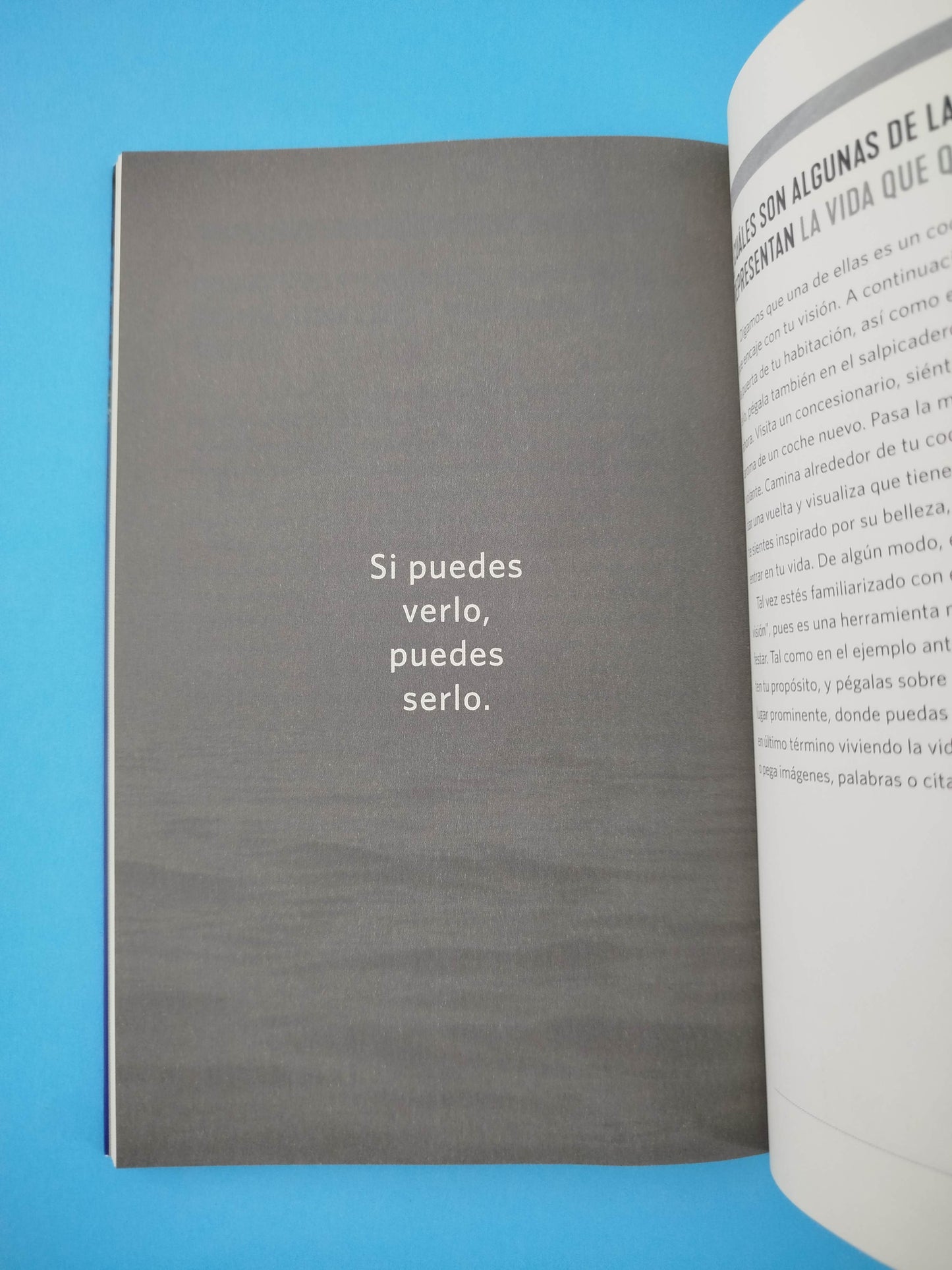 Diario para vivir tu propósito: Un sendero guiado para encontrar el éxito y la paz interior.