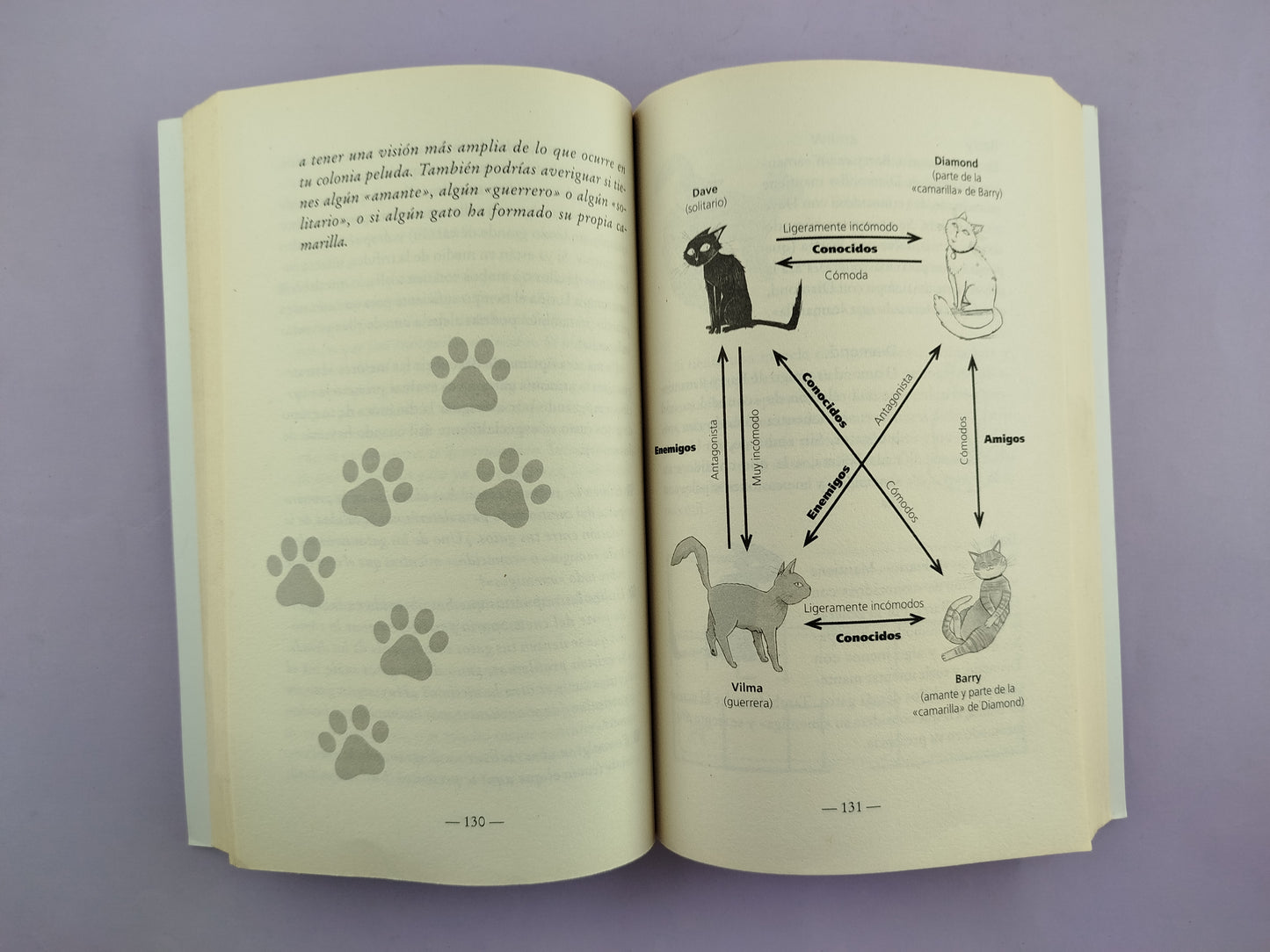 Test de personalidad para gatos