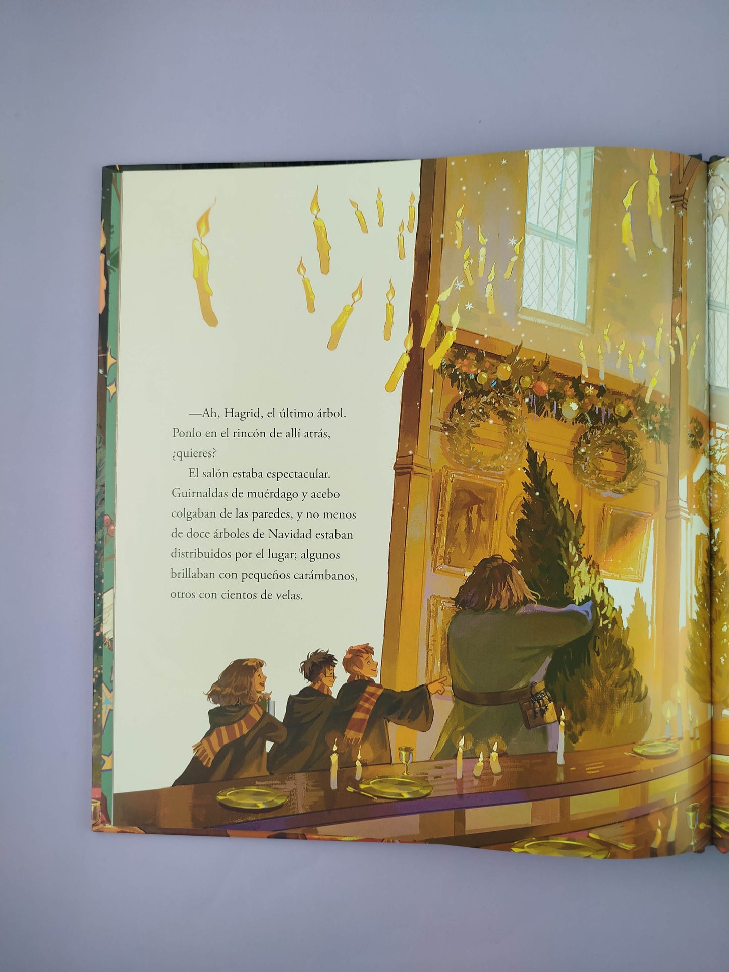 Harry Potter Navidad en Hogwarts