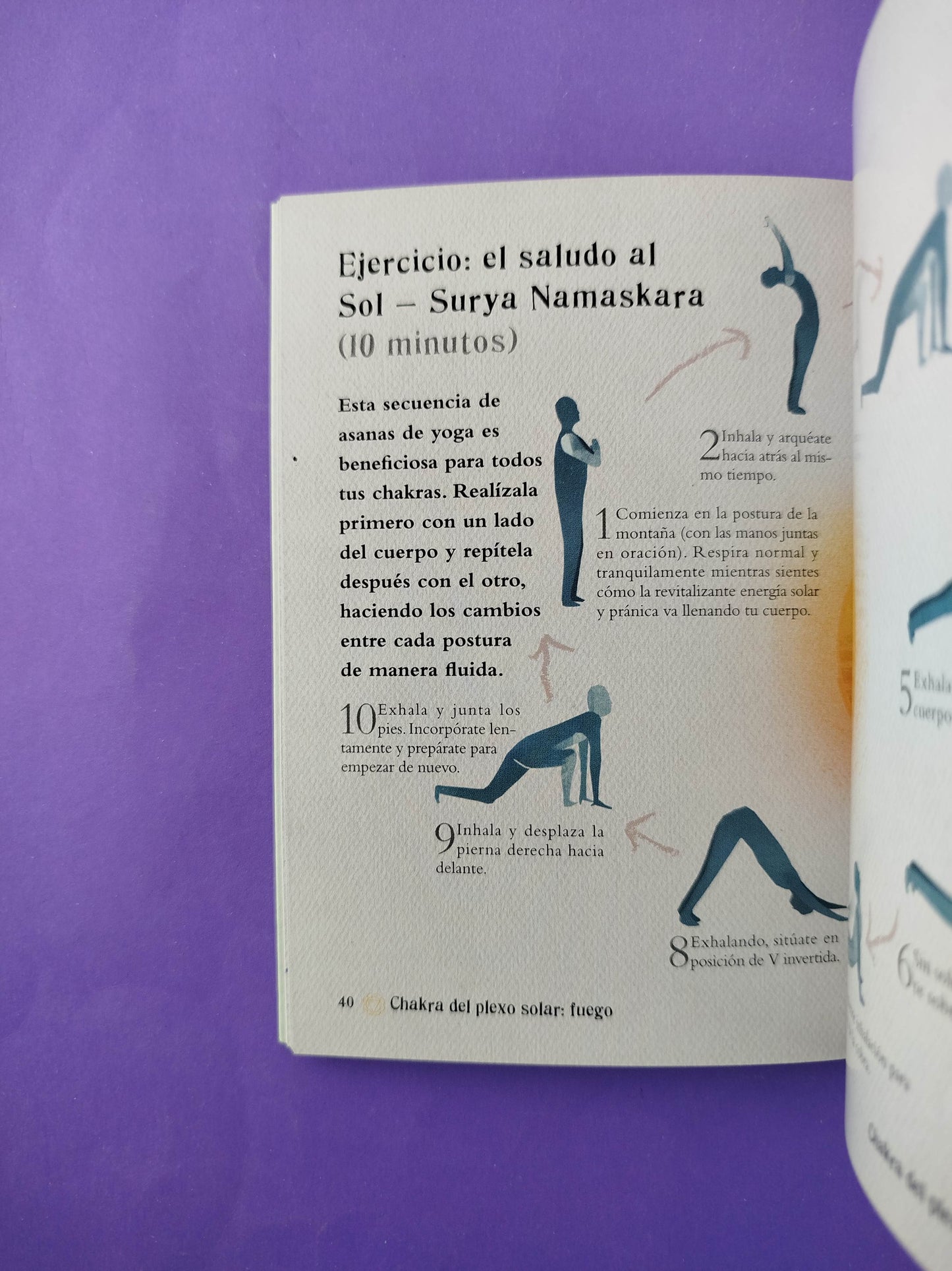 El pequeño libro de los chakras