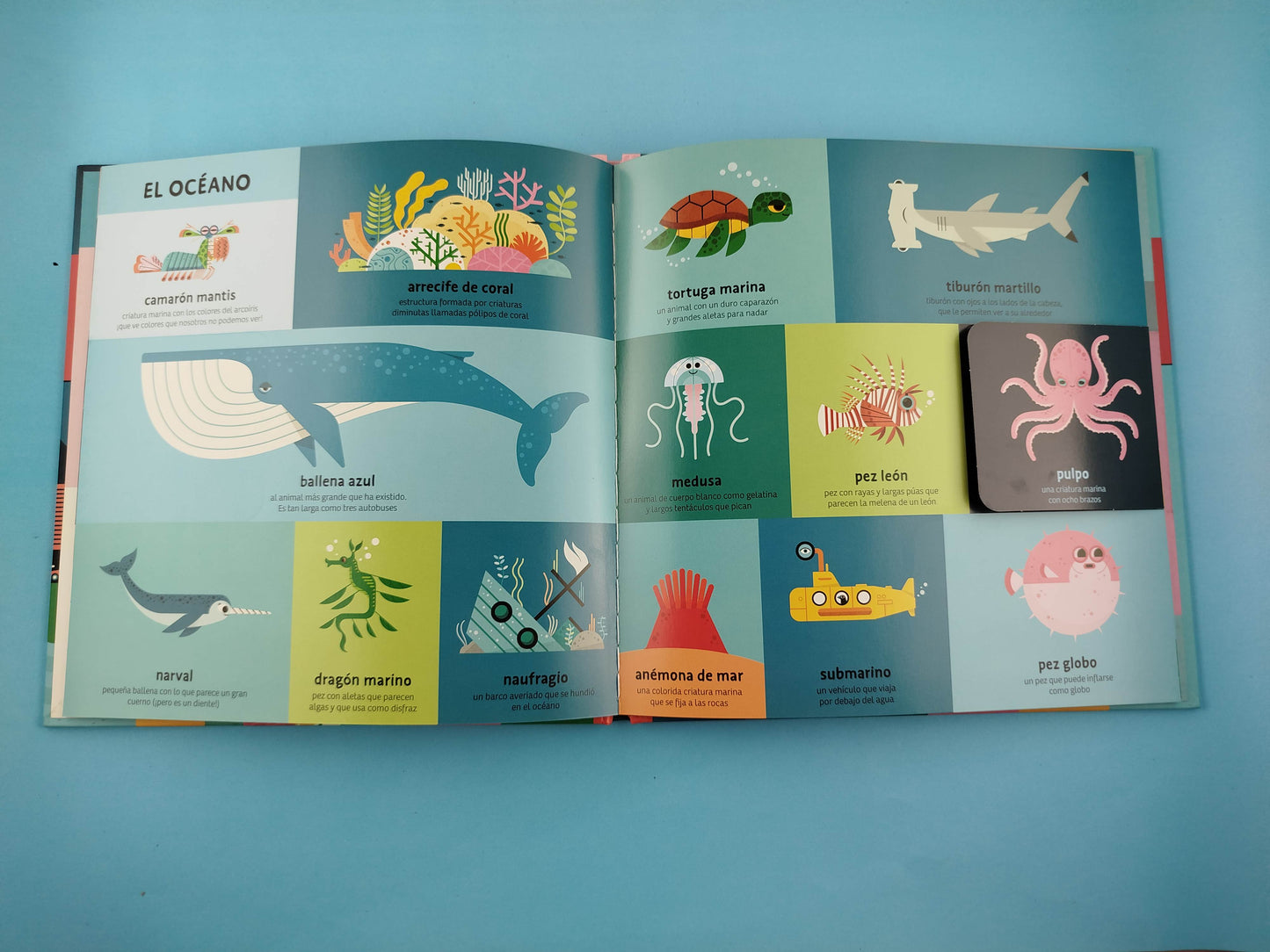 Mi primer libro de todas las cosas