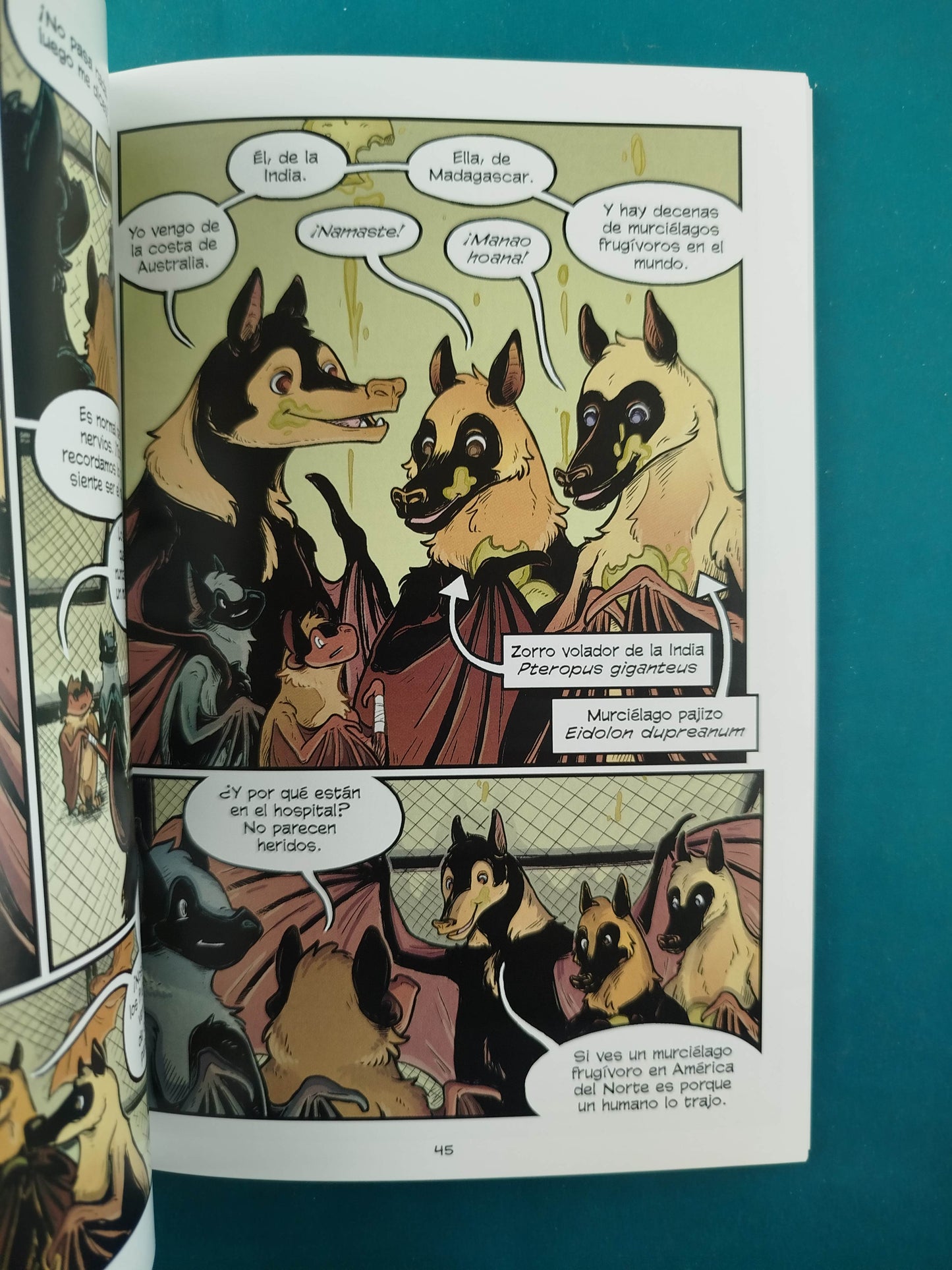 Cómics de ciencia Murciélagos Aprendiendo a volar
