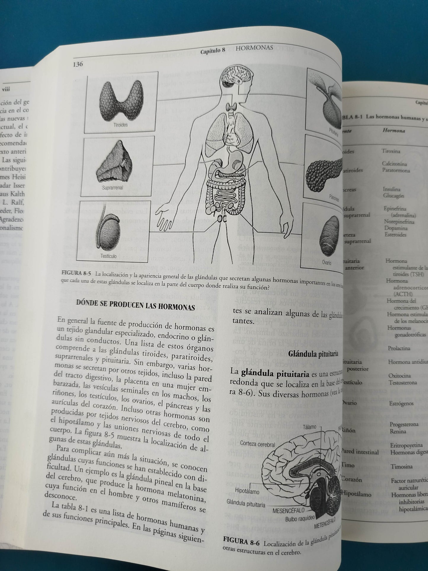 Principios de biología enfoque humano segunda edición