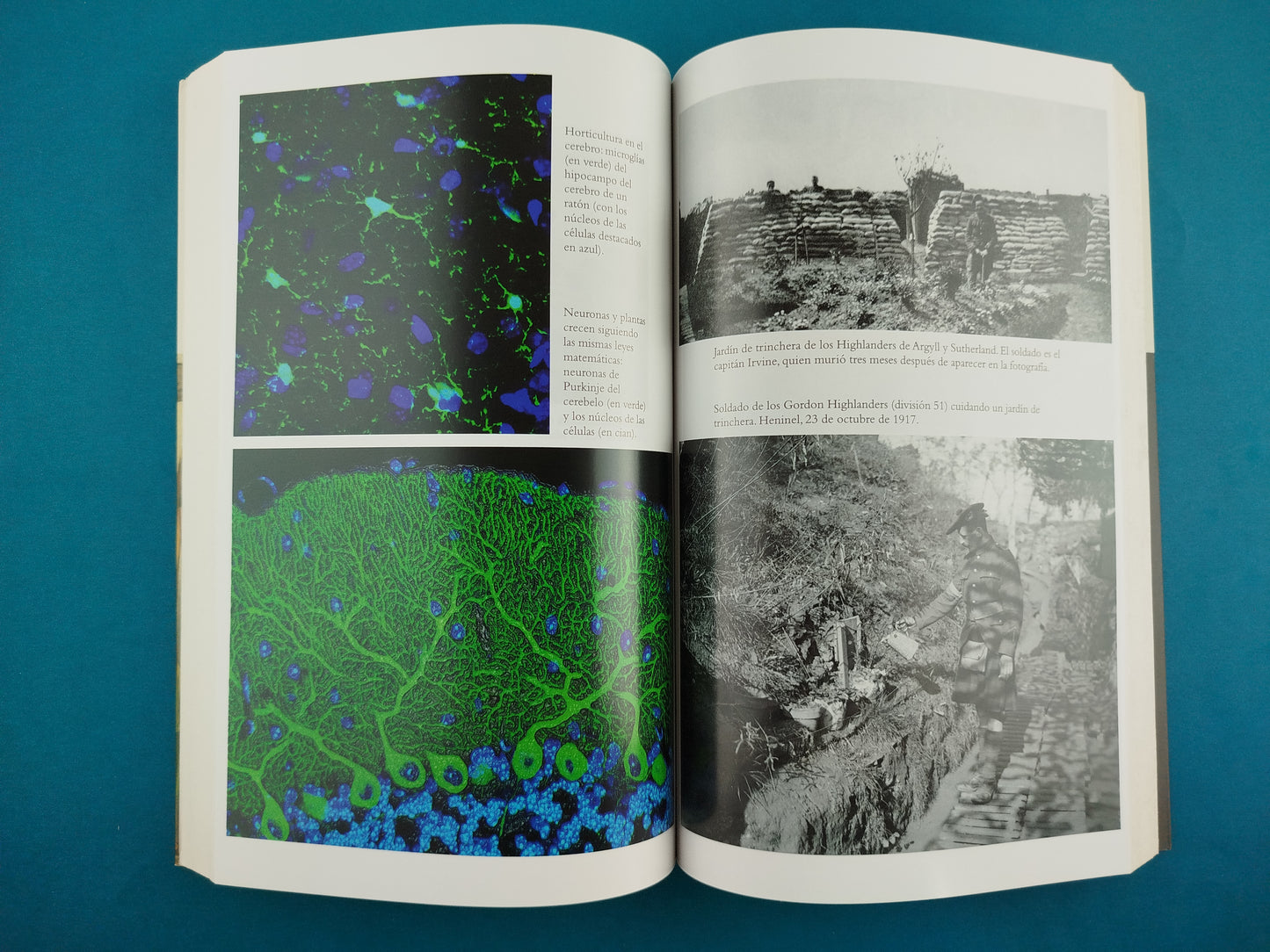 La mente bien ajardinada