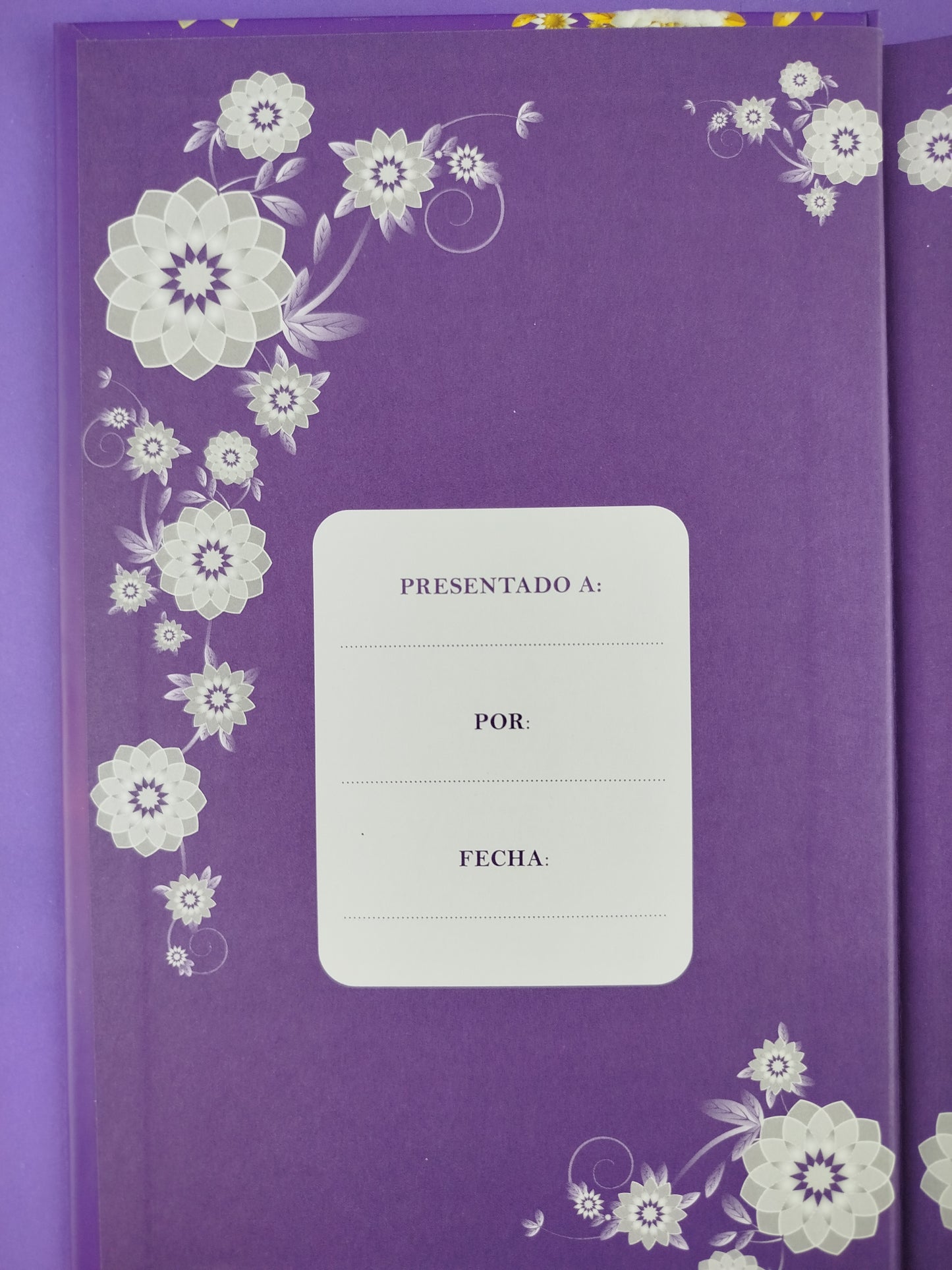 Devocional de 90 días para mujeres