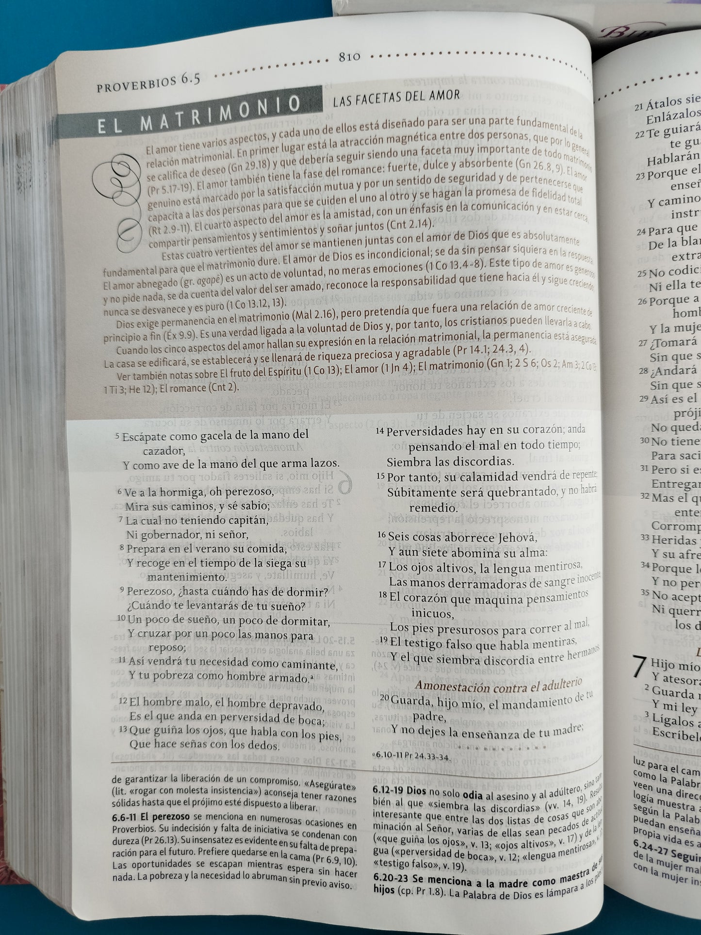 Biblia de estudio para la mujer edición de lujo