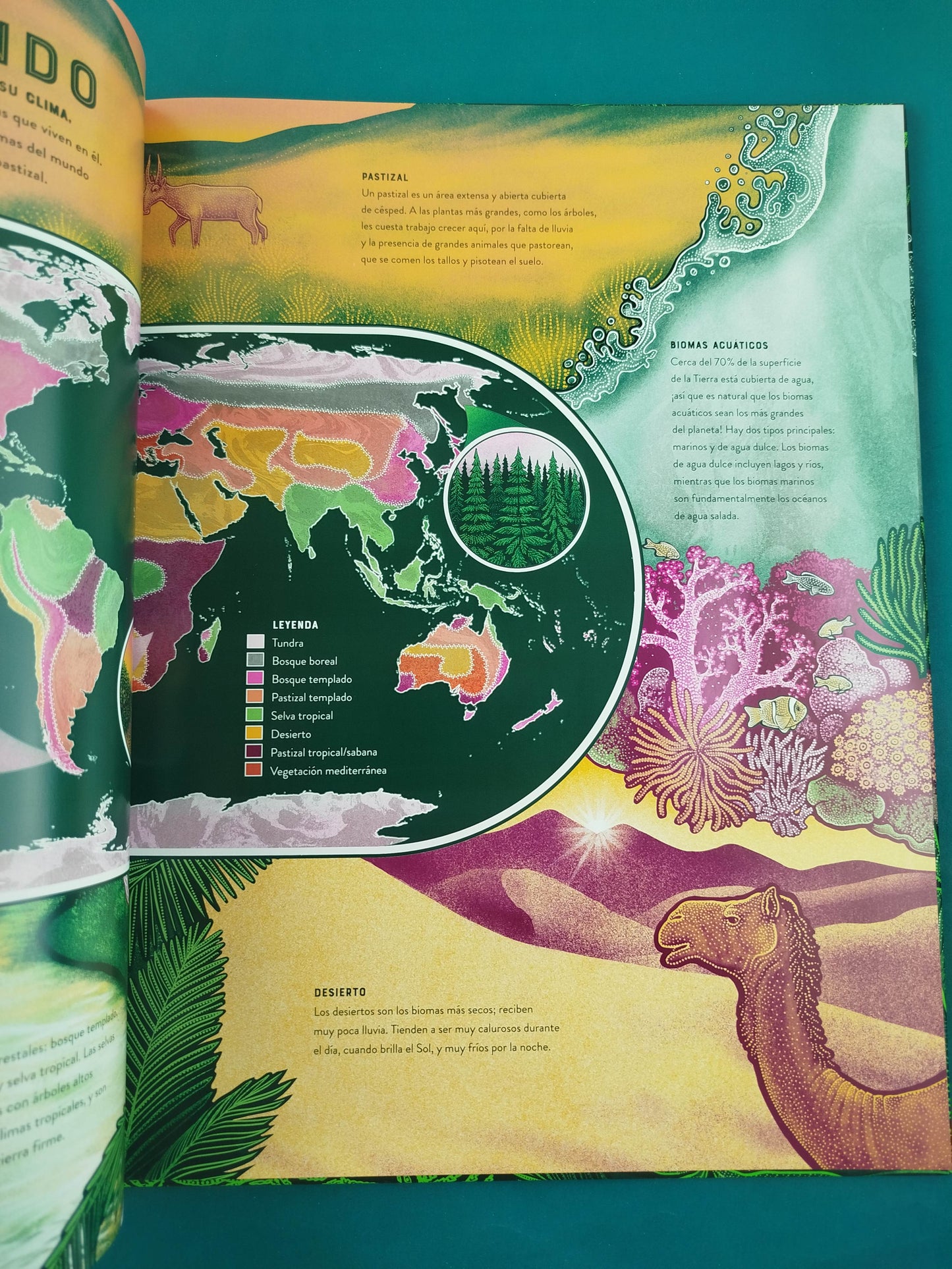 Vida Las asombrosas maravillas de la biodiversidad
