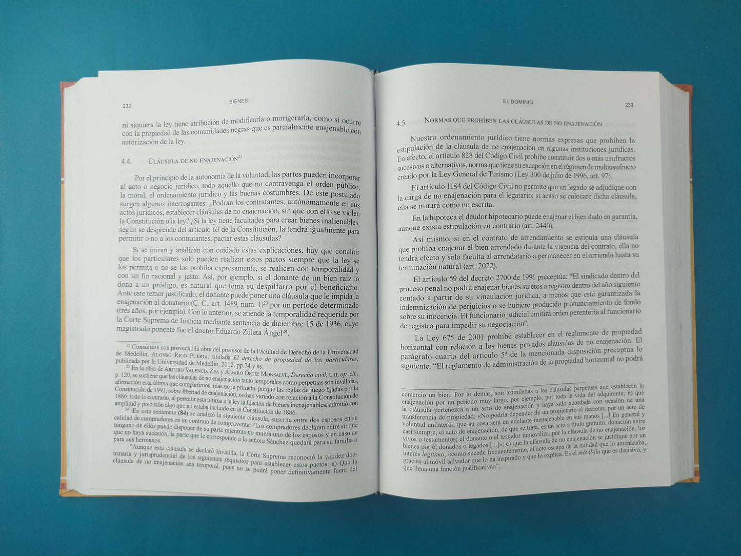 Bienes 17a edición by Luis Guillermo Velásquez Jaramillo