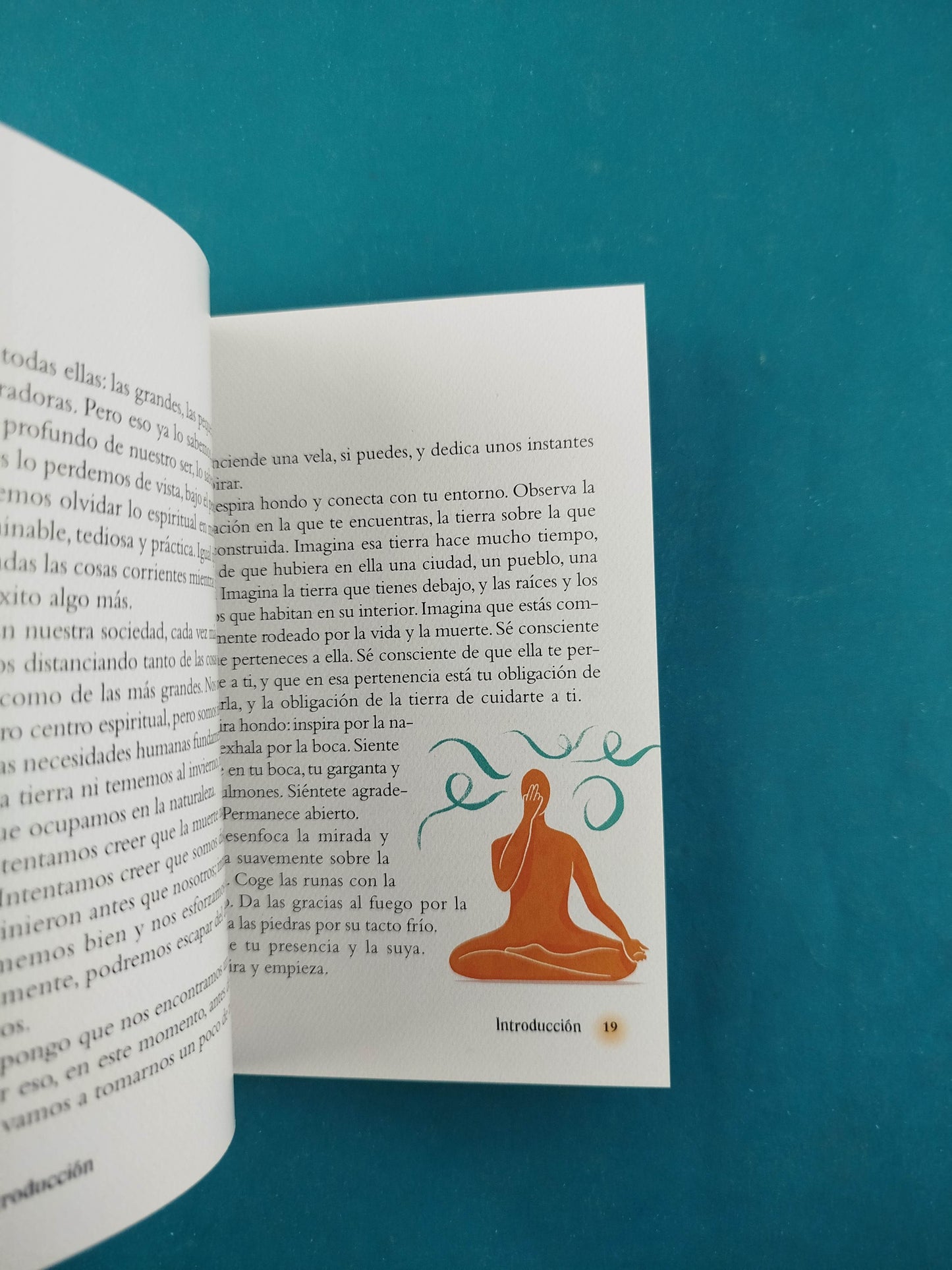 El pequeño libro de las runas