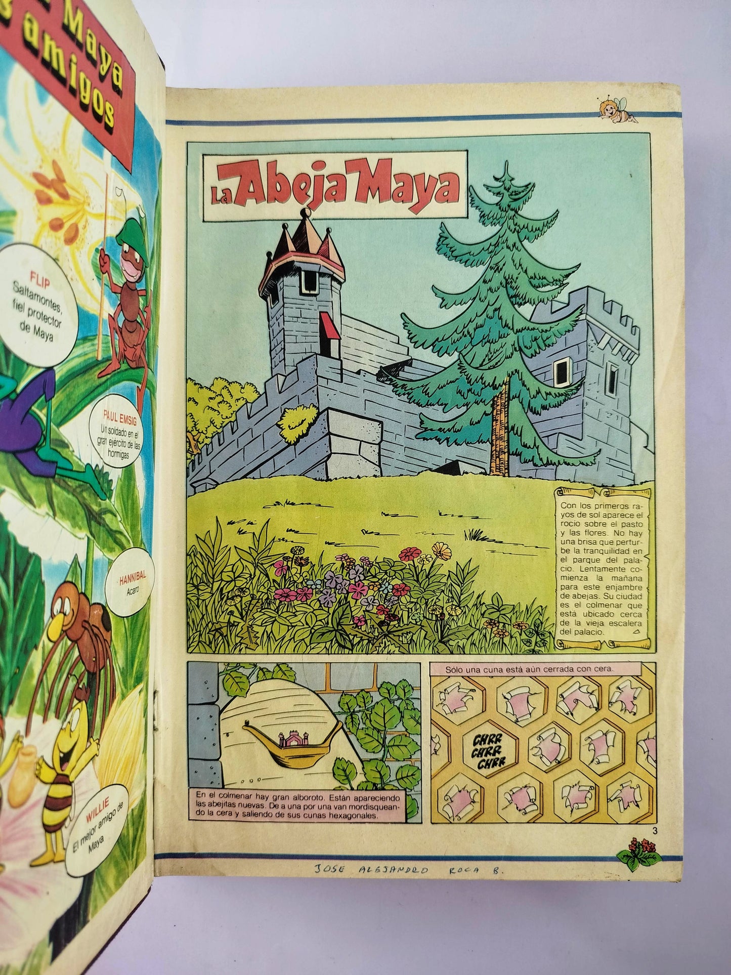 La abeja maya