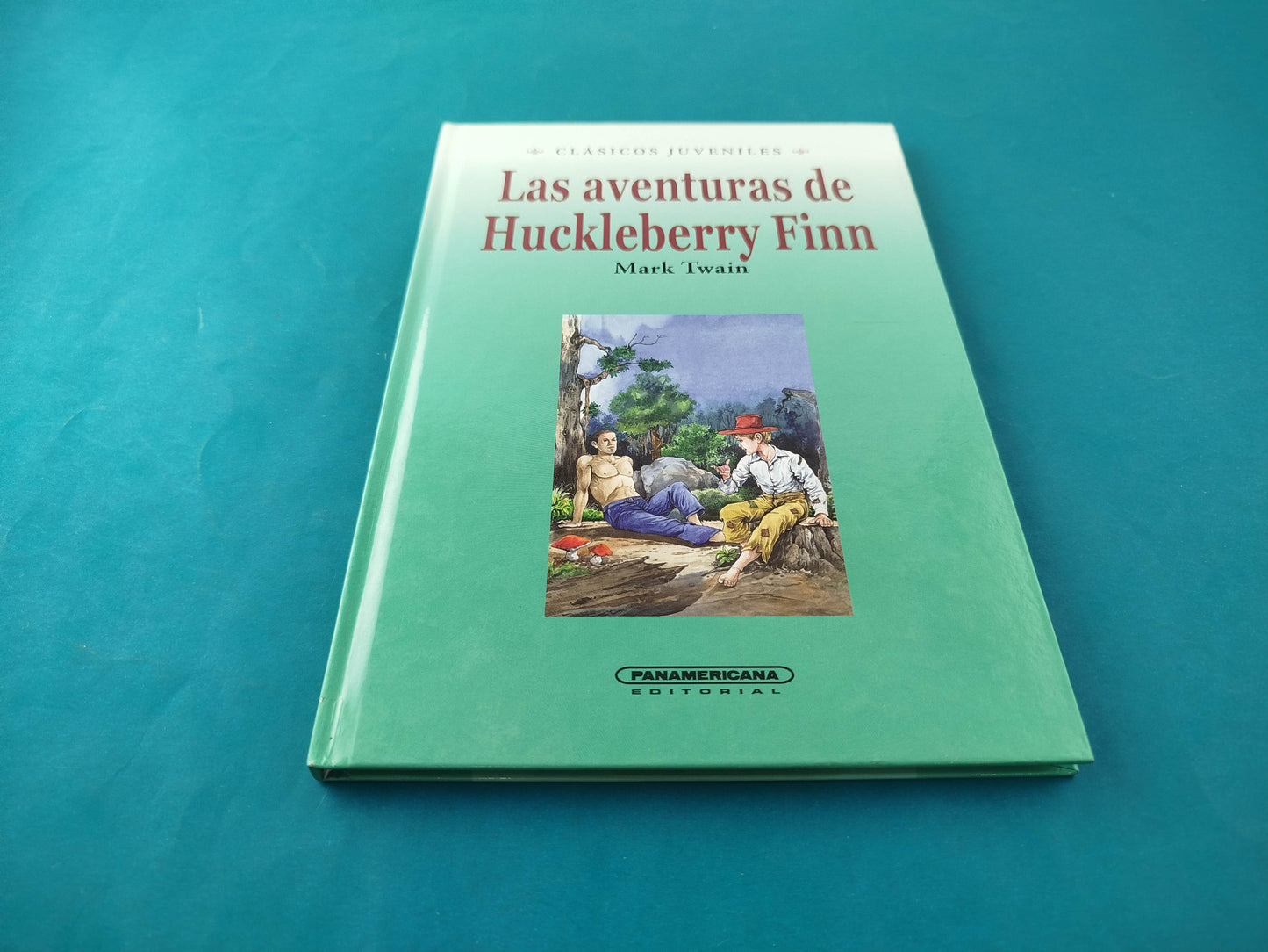 Las aventuras de Huckleberry Finn