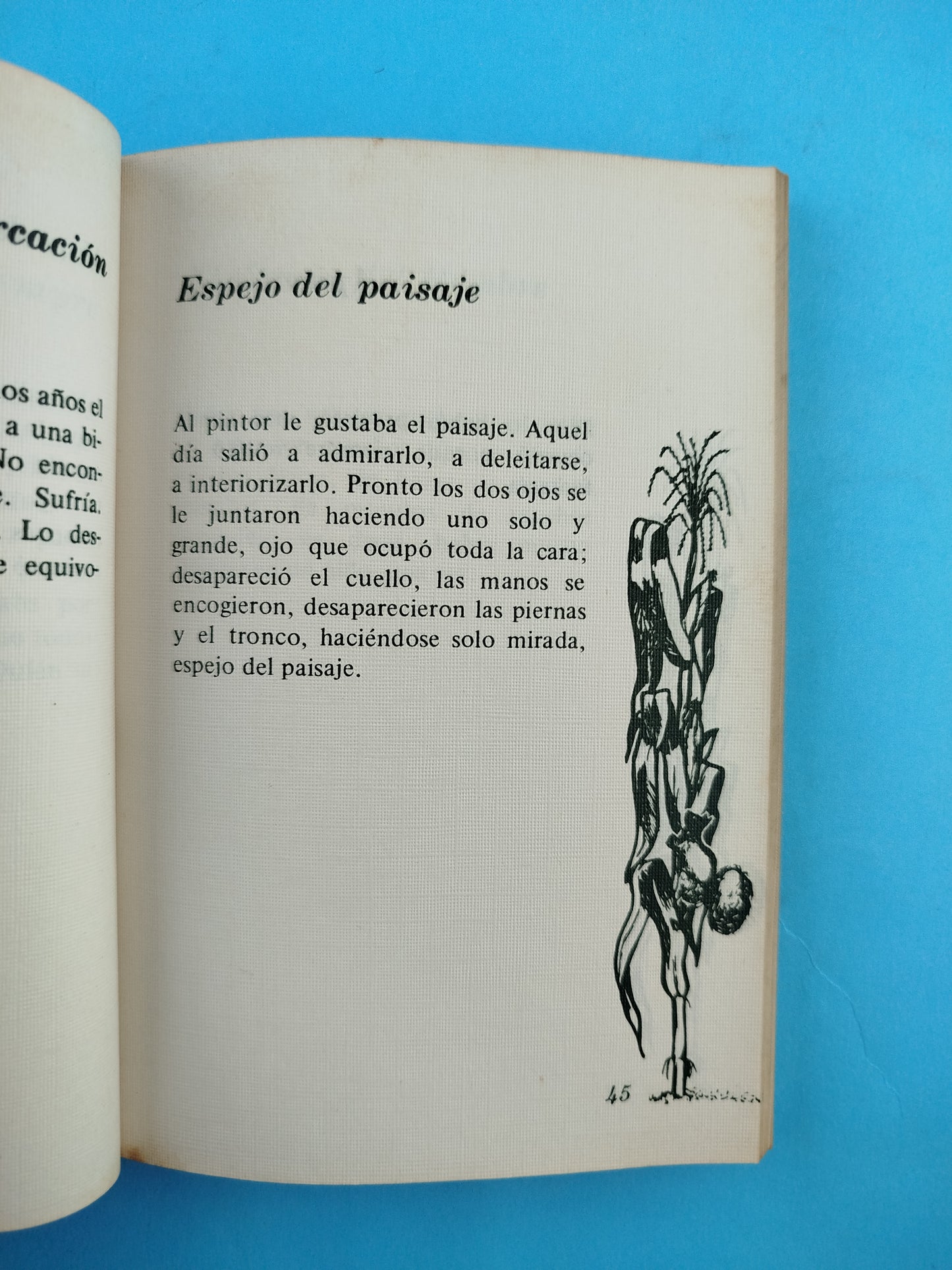 La Ardilla en el Maizal